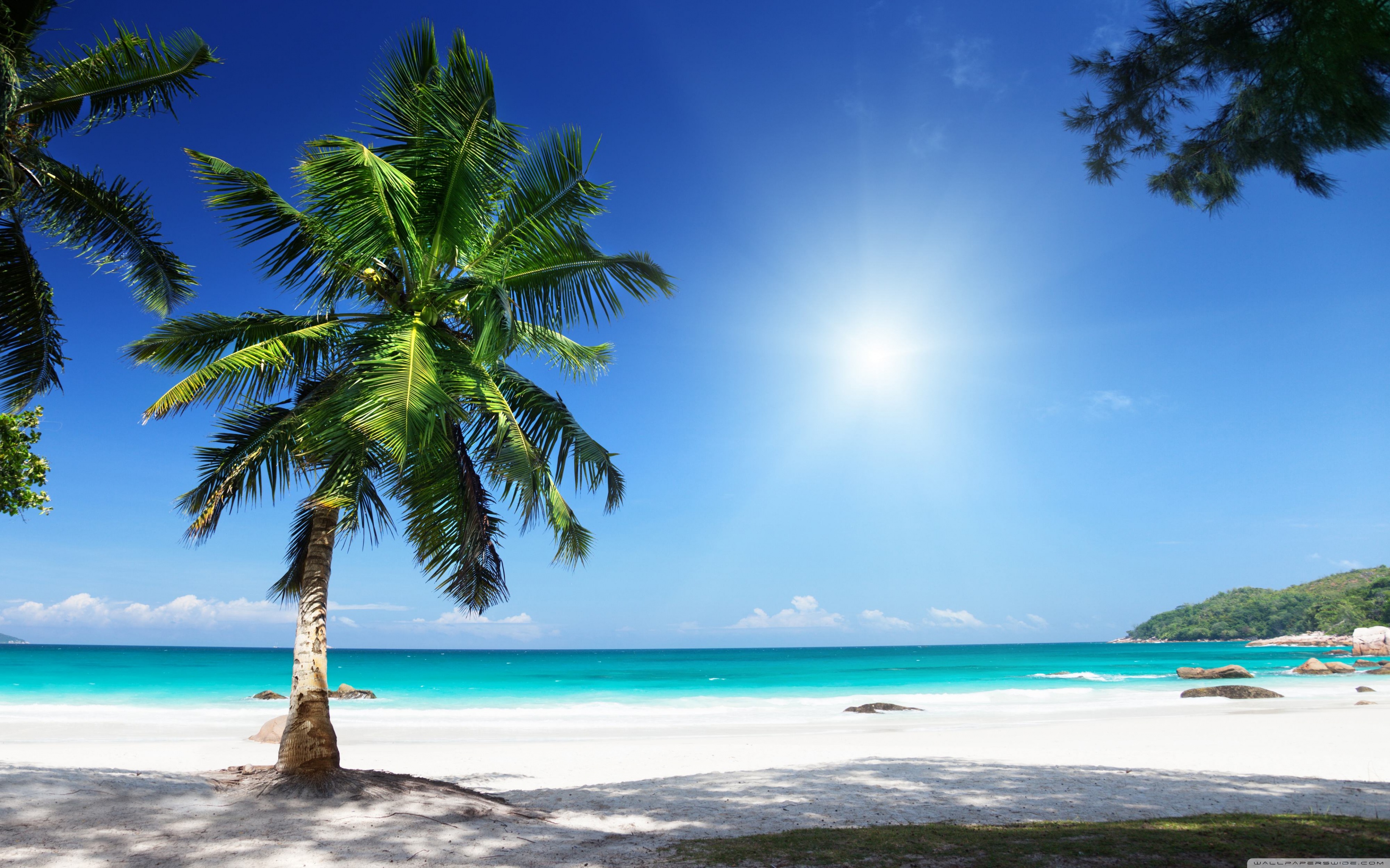 Sunny Beach ❤ 4K HD Desktop Wallpaper for 4K Ultra HD TV • Tablet ...