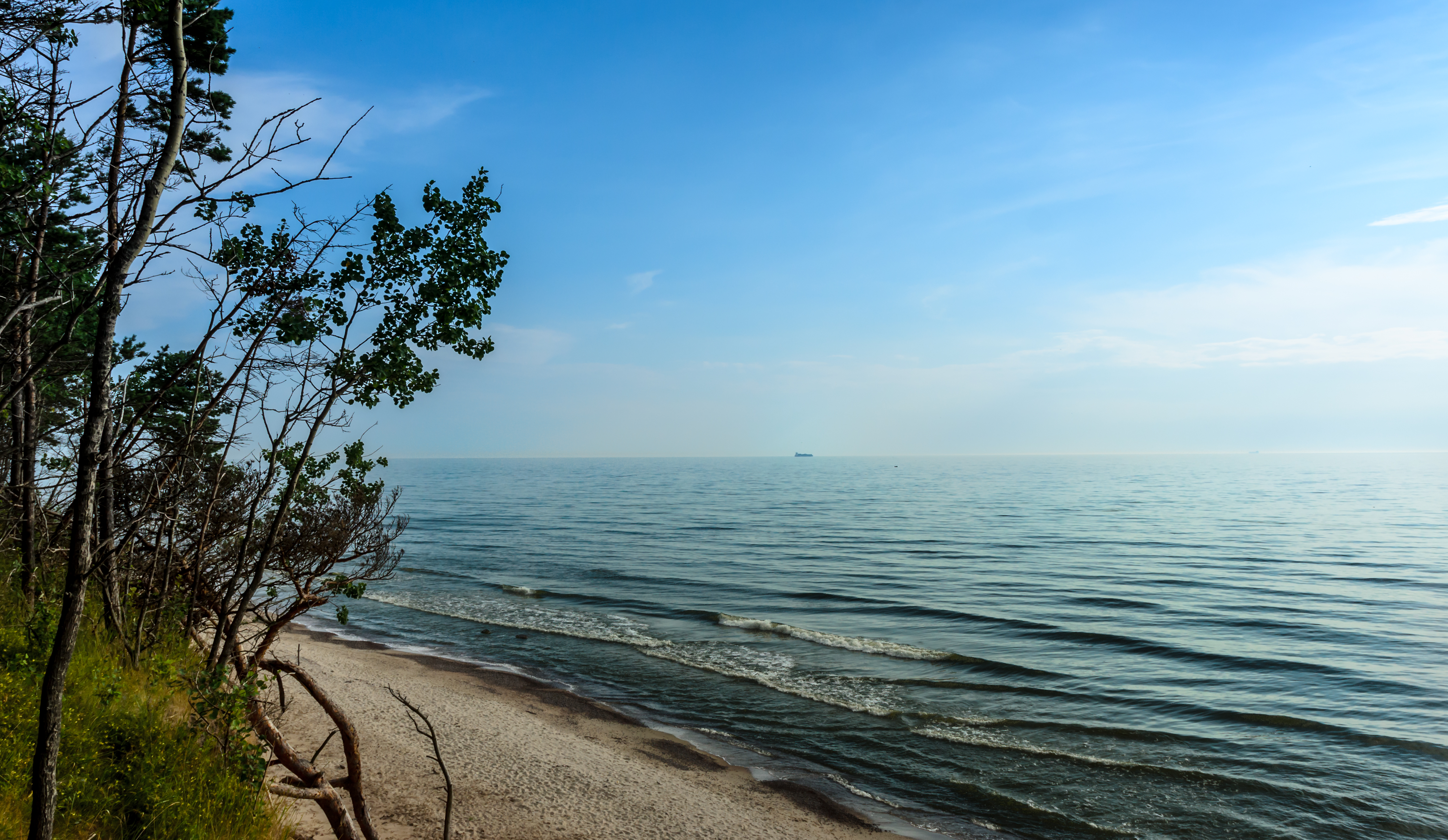 File:Sunny day on the coast on Baltic sea.jpg - Wikimedia Commons