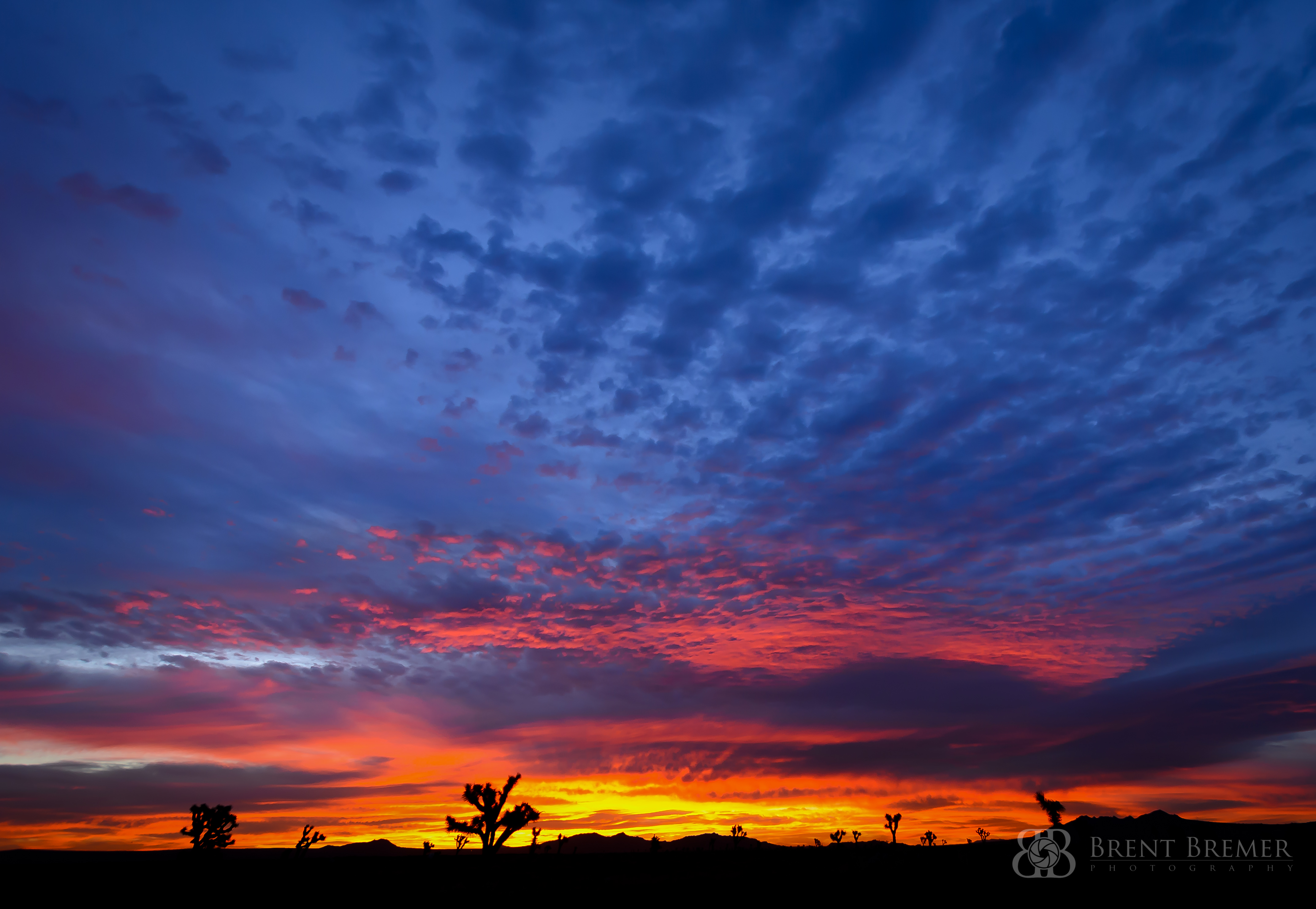 Sunrise and Sunset Photography - Brent Bremer Photography