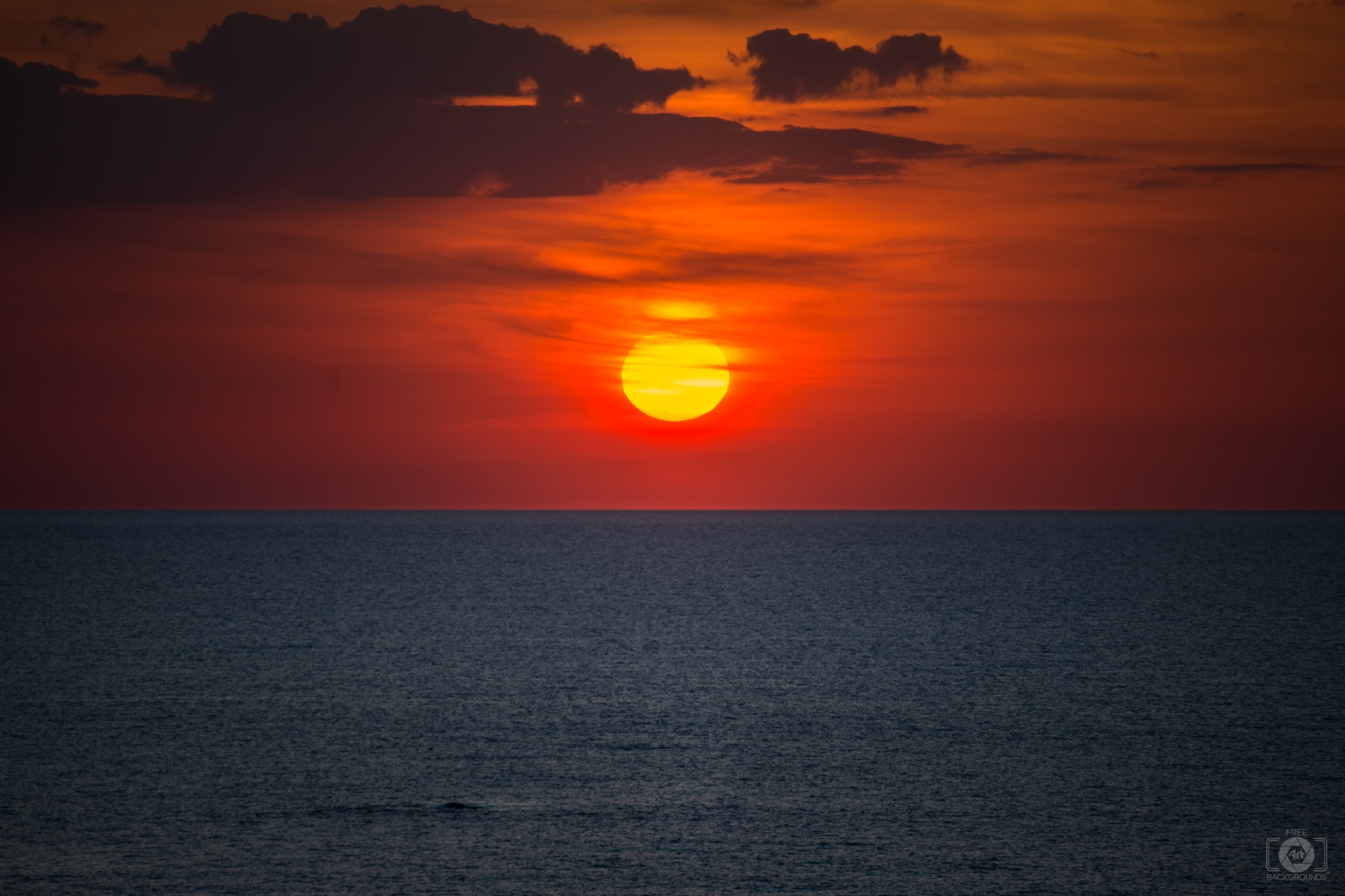 Beautiful Sunrise on the Sea Background - High-quality Free Backgrounds