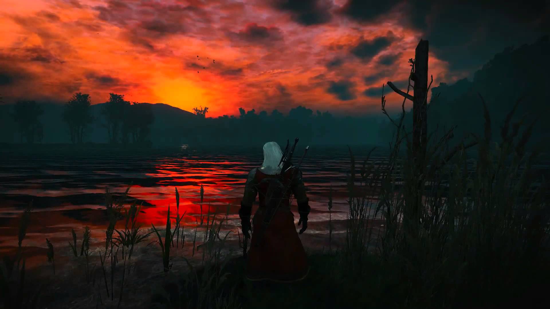 The Witcher 3: Wild Hunt - The Trail / Sunrise - HD - YouTube