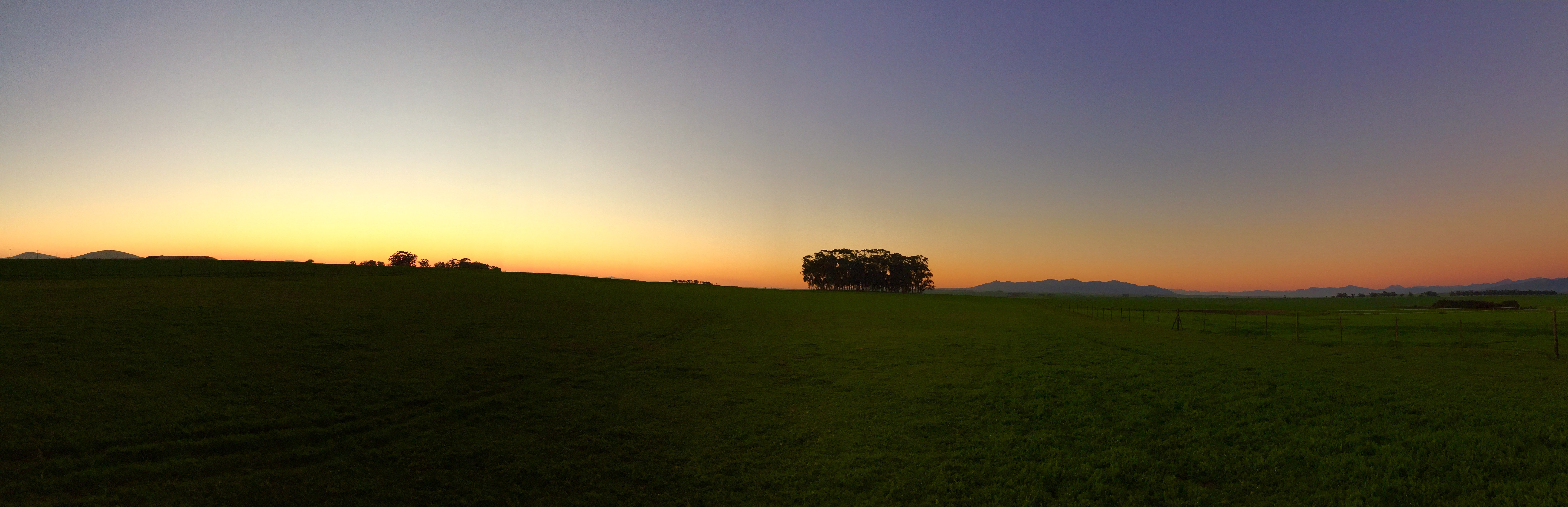 Sunrise on green grass field photo