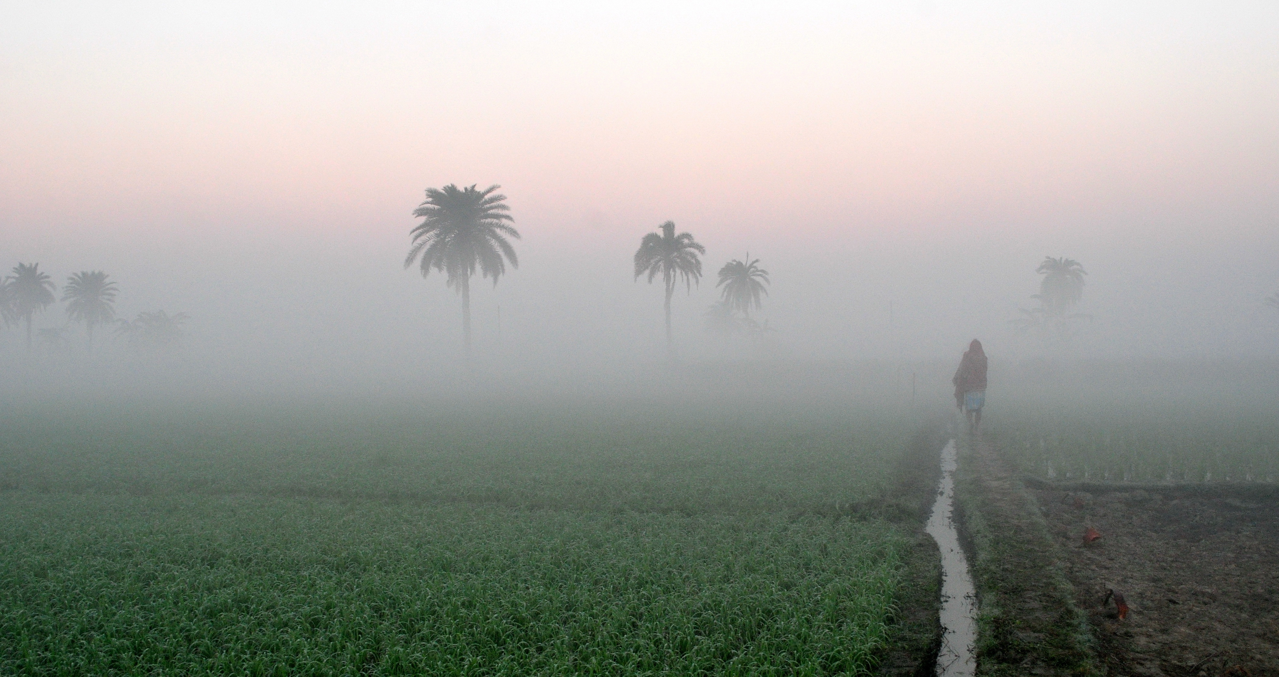 File:Agriculture in India, Sunrise time at a village.jpg - Wikimedia ...