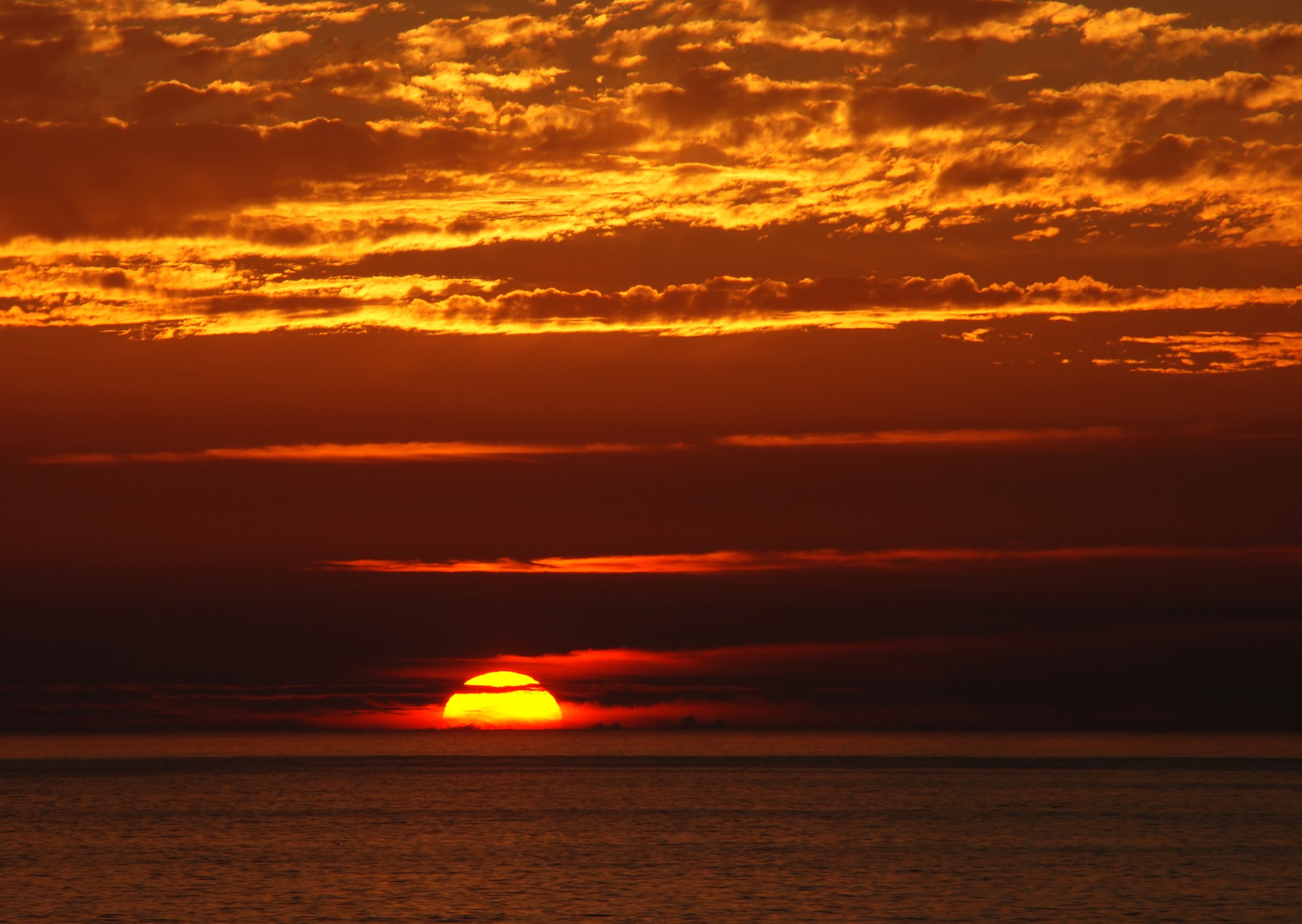 Sunset - Wikipedia