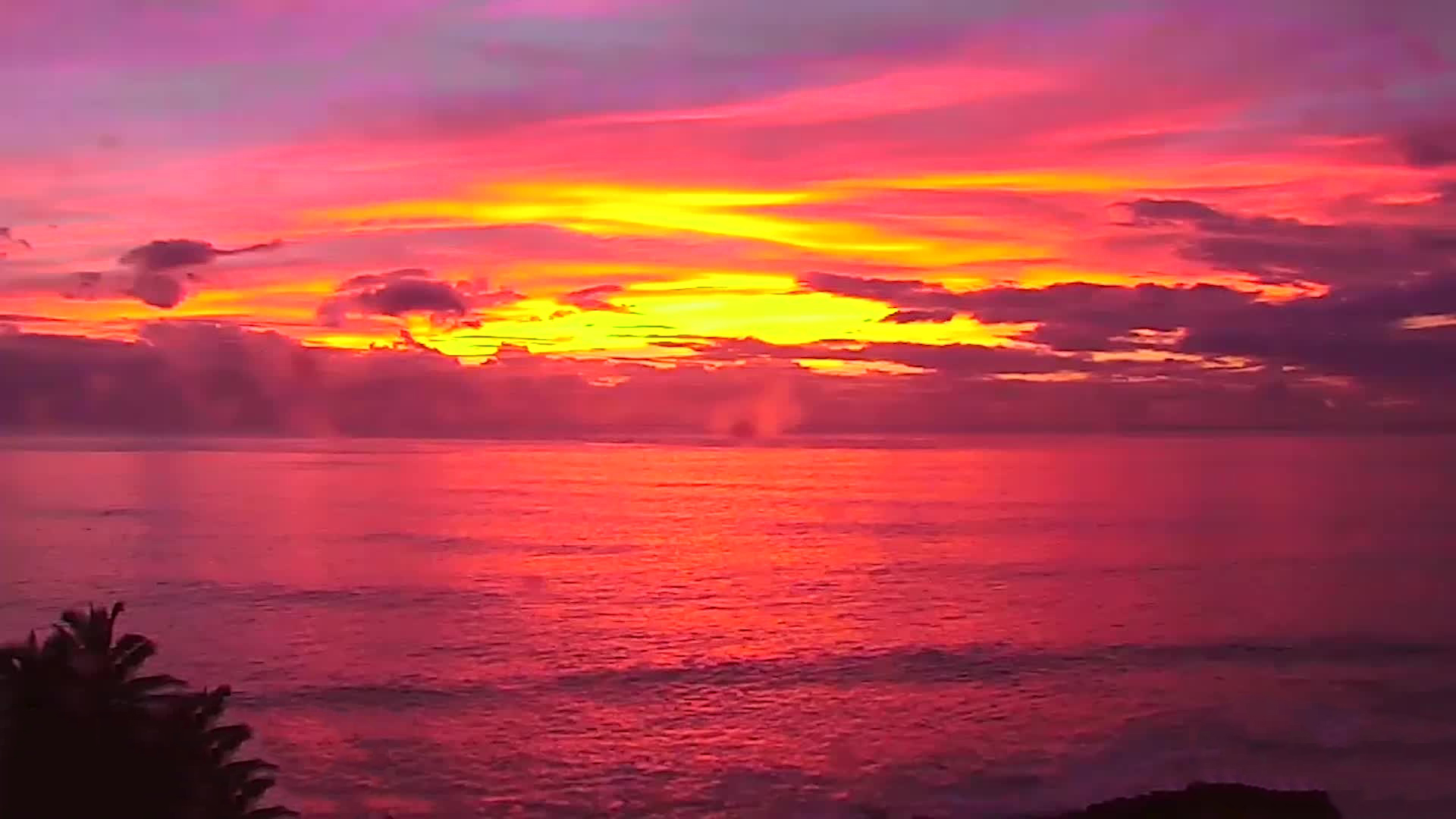 Turtle Bay Sunset Cam - watch sunsets from Oahu, Hawaii | Explore.org