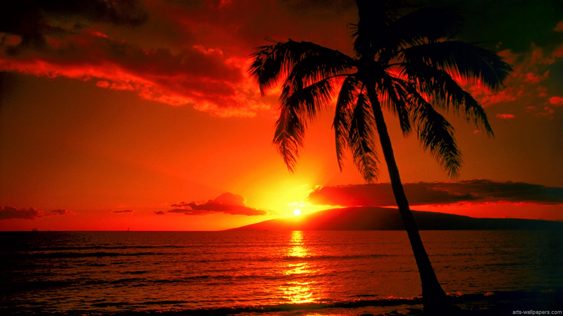 Tropical Island Sunset HD Wallpaper, Background Images