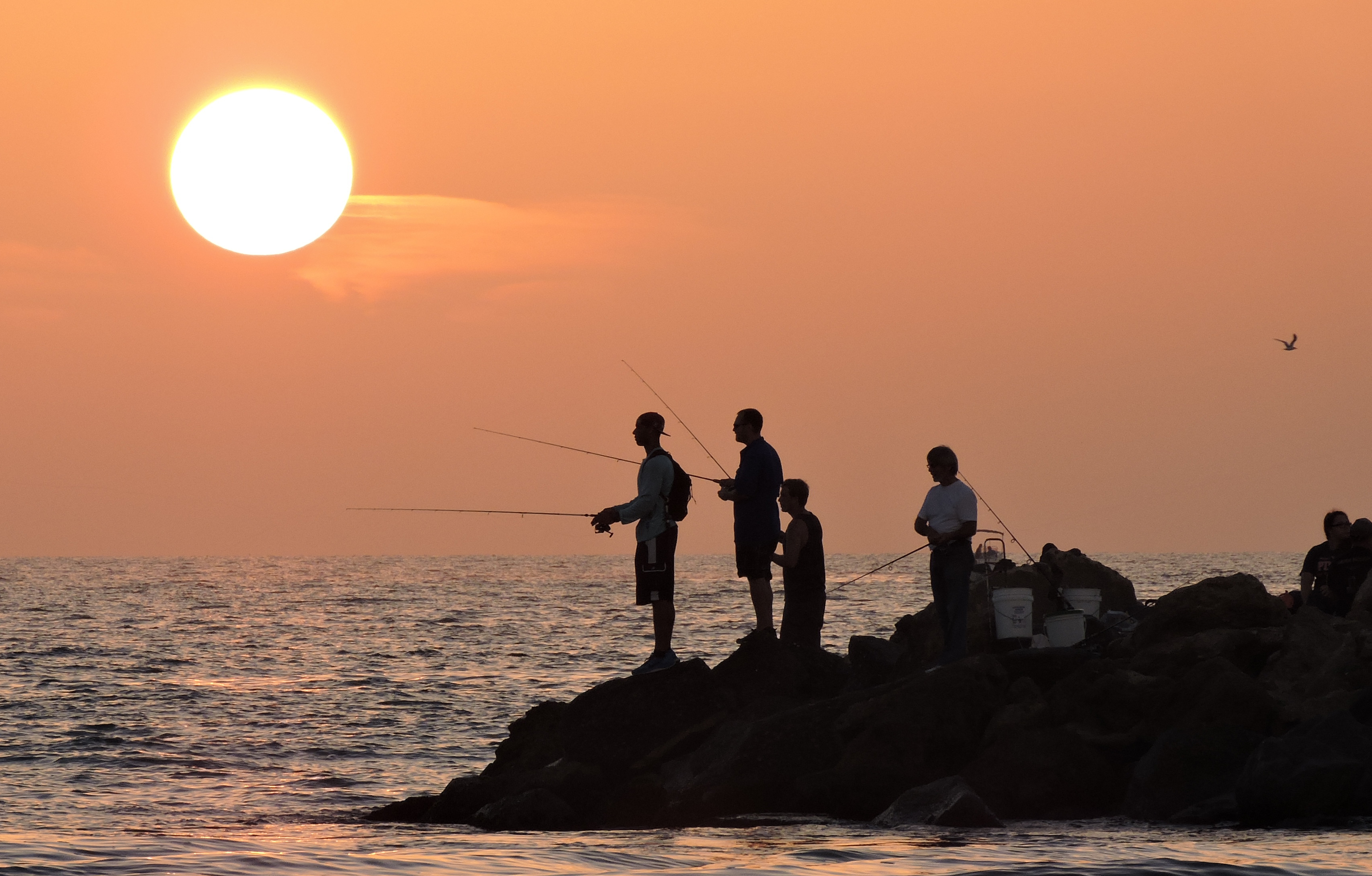 South Florida Fishermen Sunset Venice Jetty | Book Cover Pics