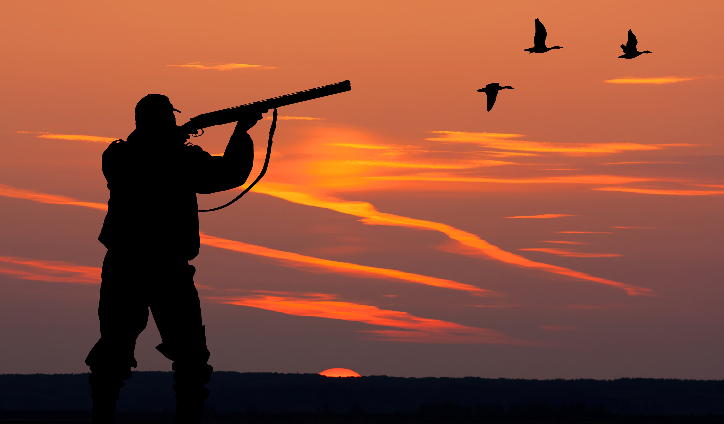 The Silhouette Of A Hunter On Sunset Background – 951 The Bull