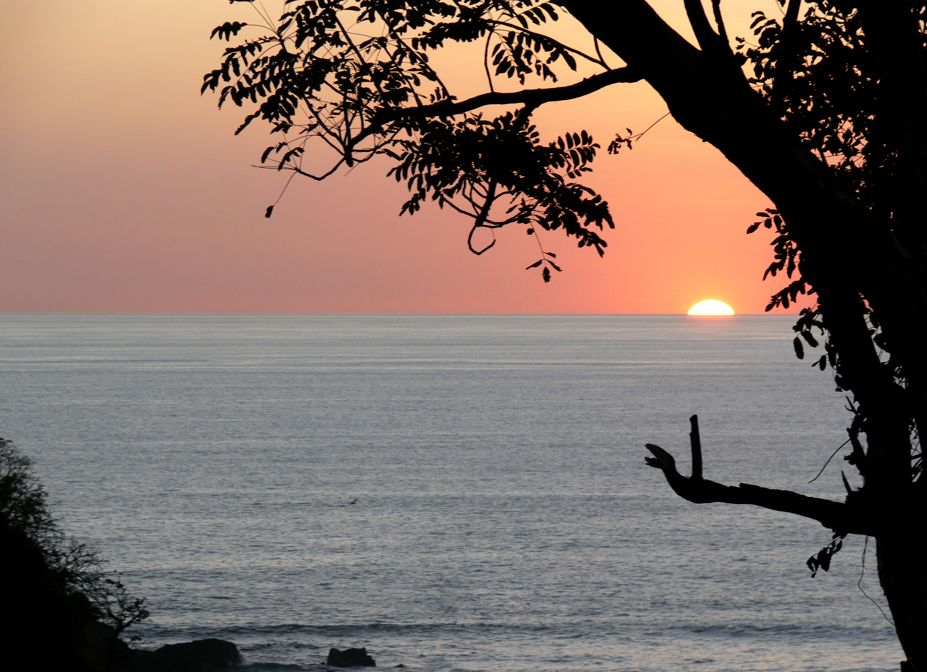 Sunset in costa rica photo