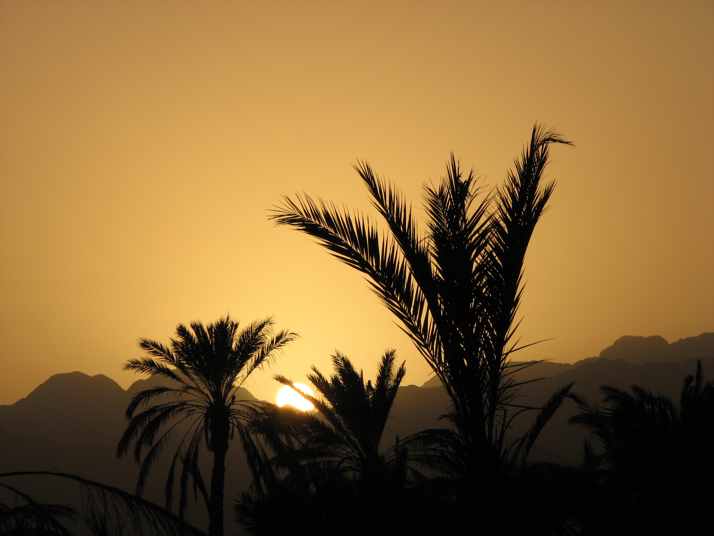 Sunset in fujairah photo
