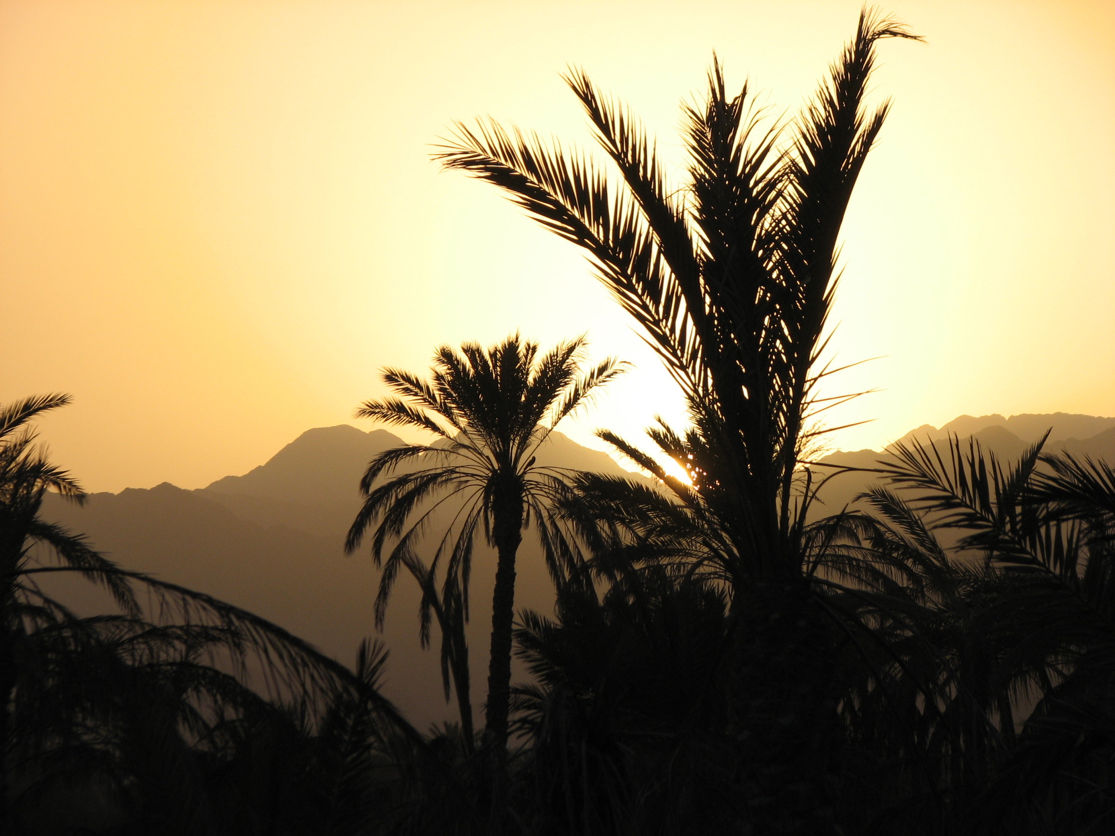 Sunset in fujairah photo