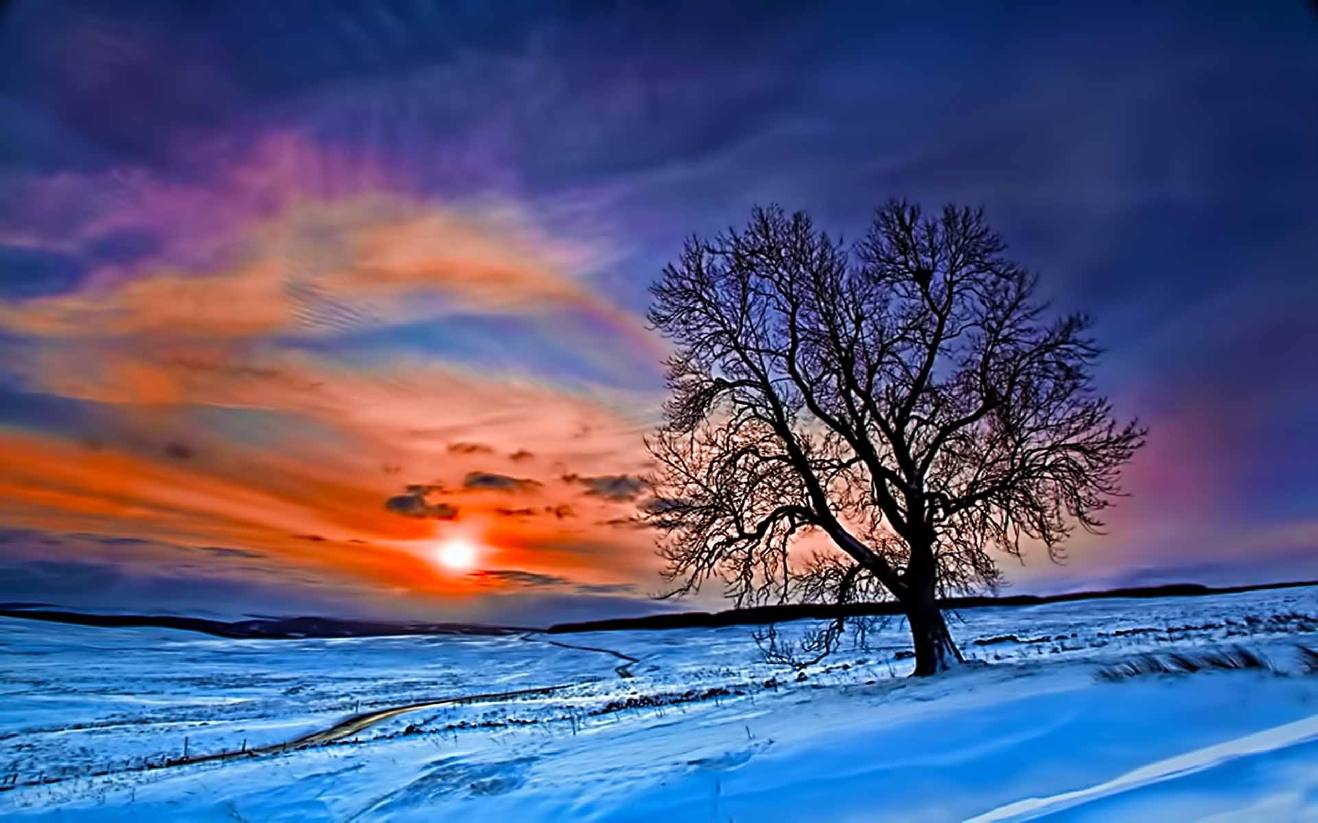 Sunset in winter | HD Wallpapers