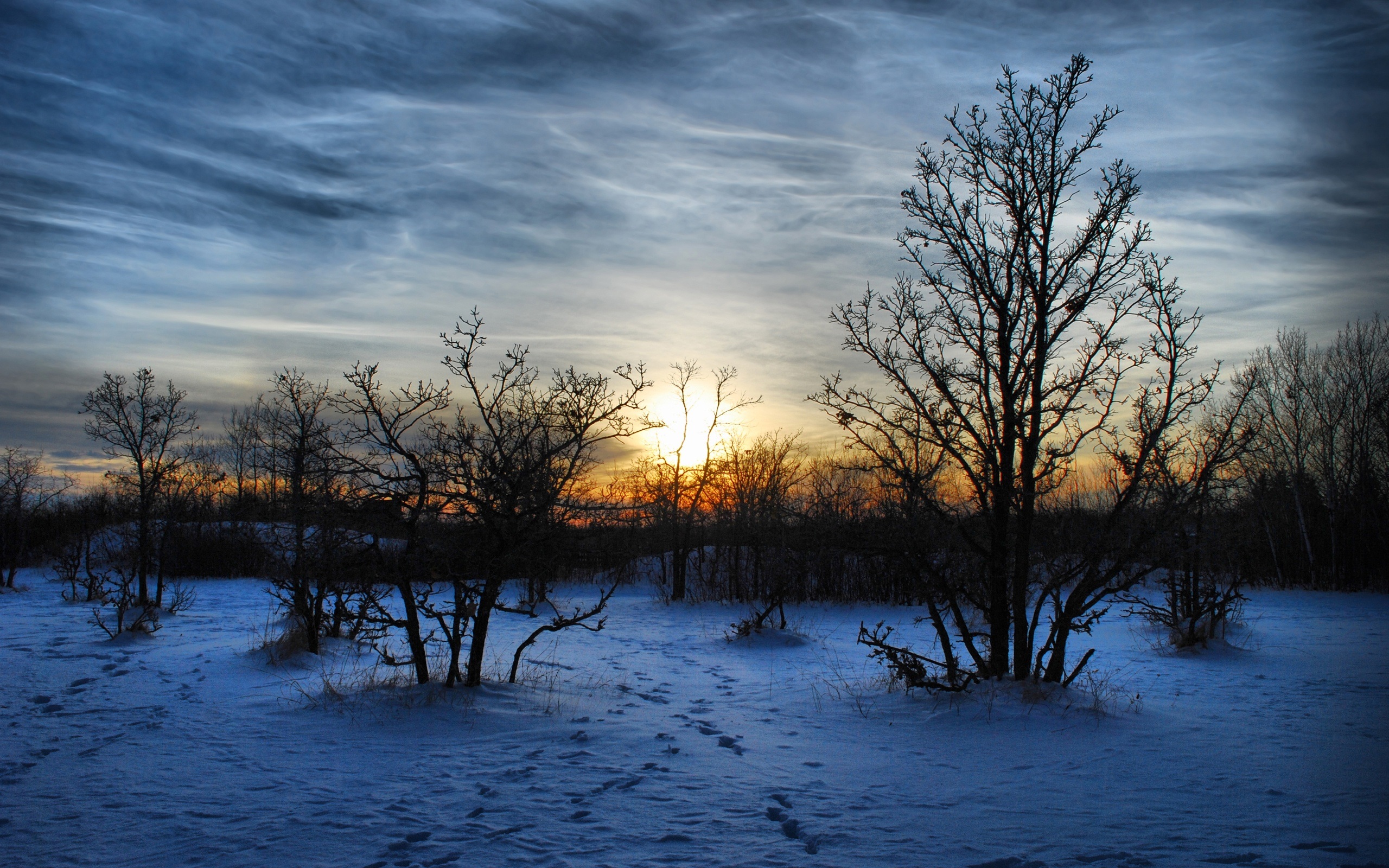 Sunset In Winter Forest #7025783