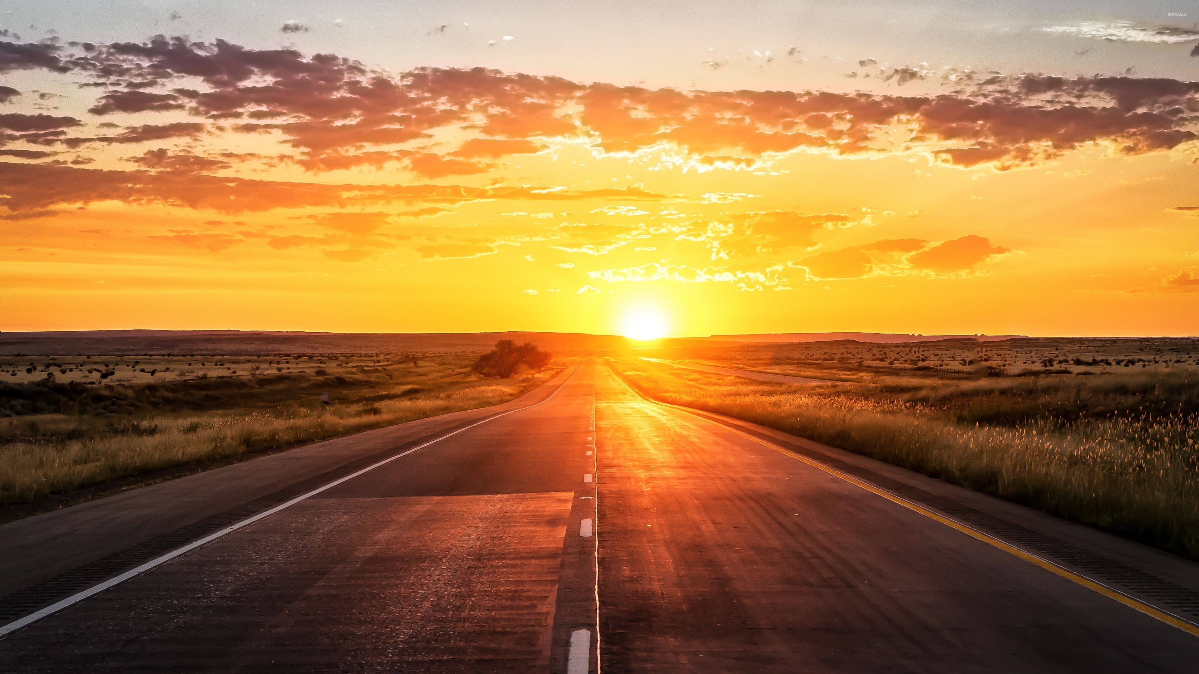 Road towards the golden sunset wallpaper - Nature wallpapers - #46454
