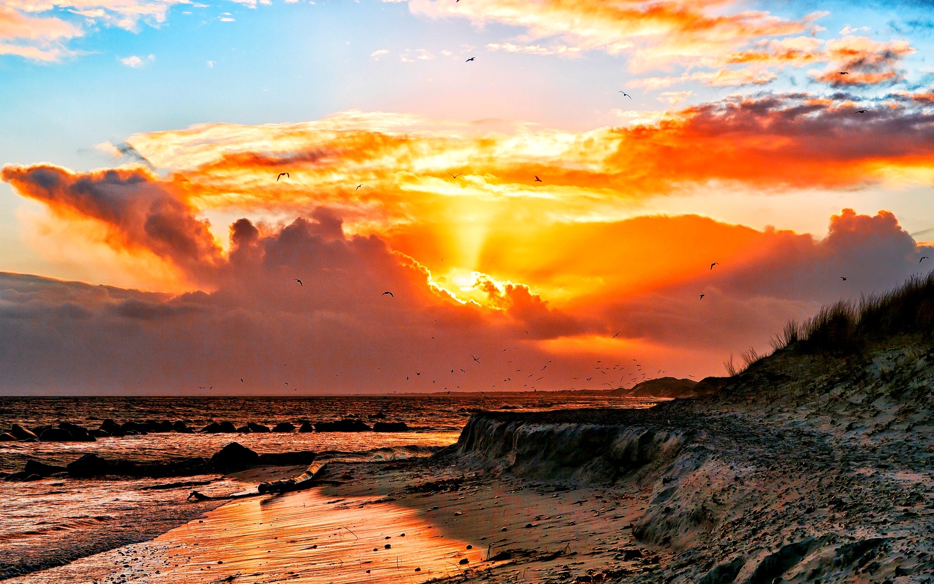 Sunset: SUNSET SCENE Clouds Seagulls Sky Beach Shore Sun Surfing ...