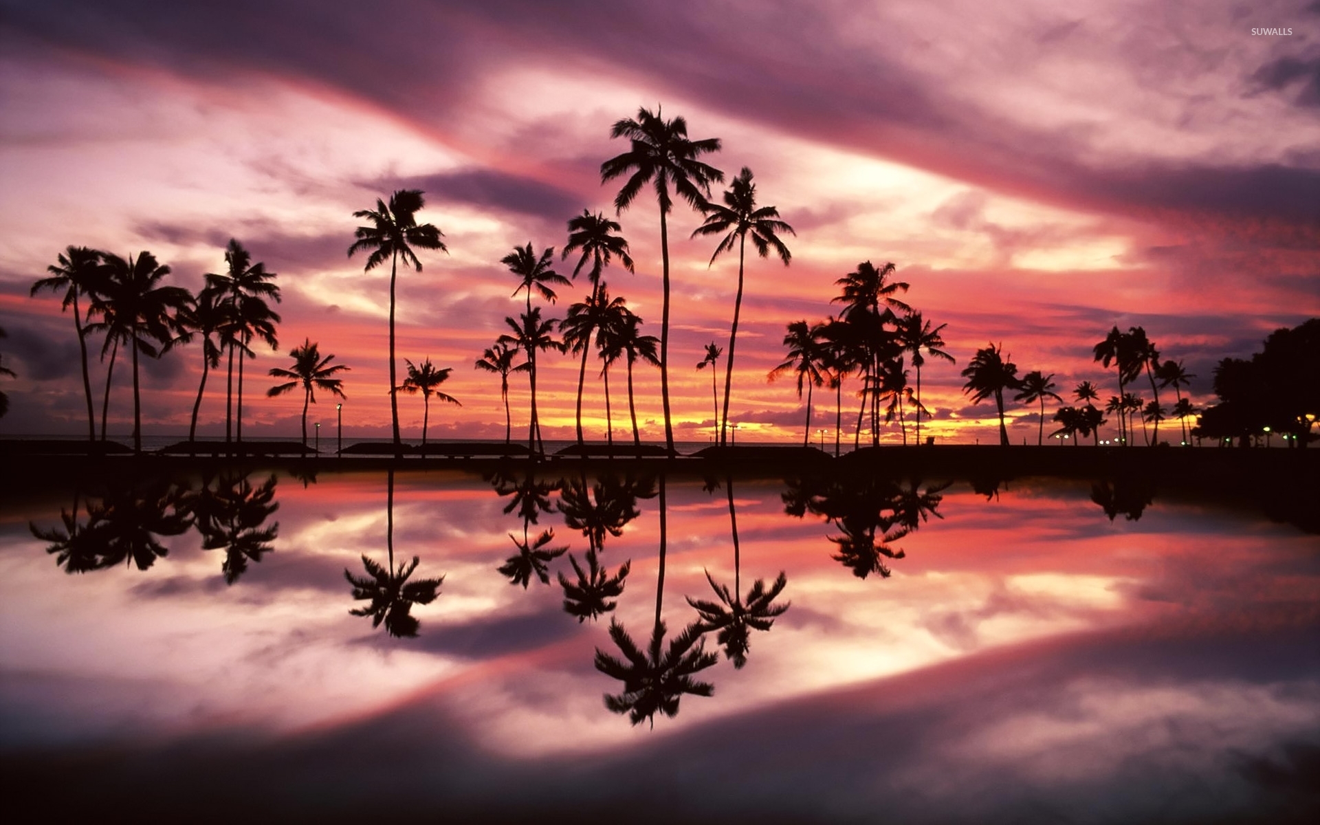 Beautiful sunset sky behind the palm trees by the ocean wallpaper ...