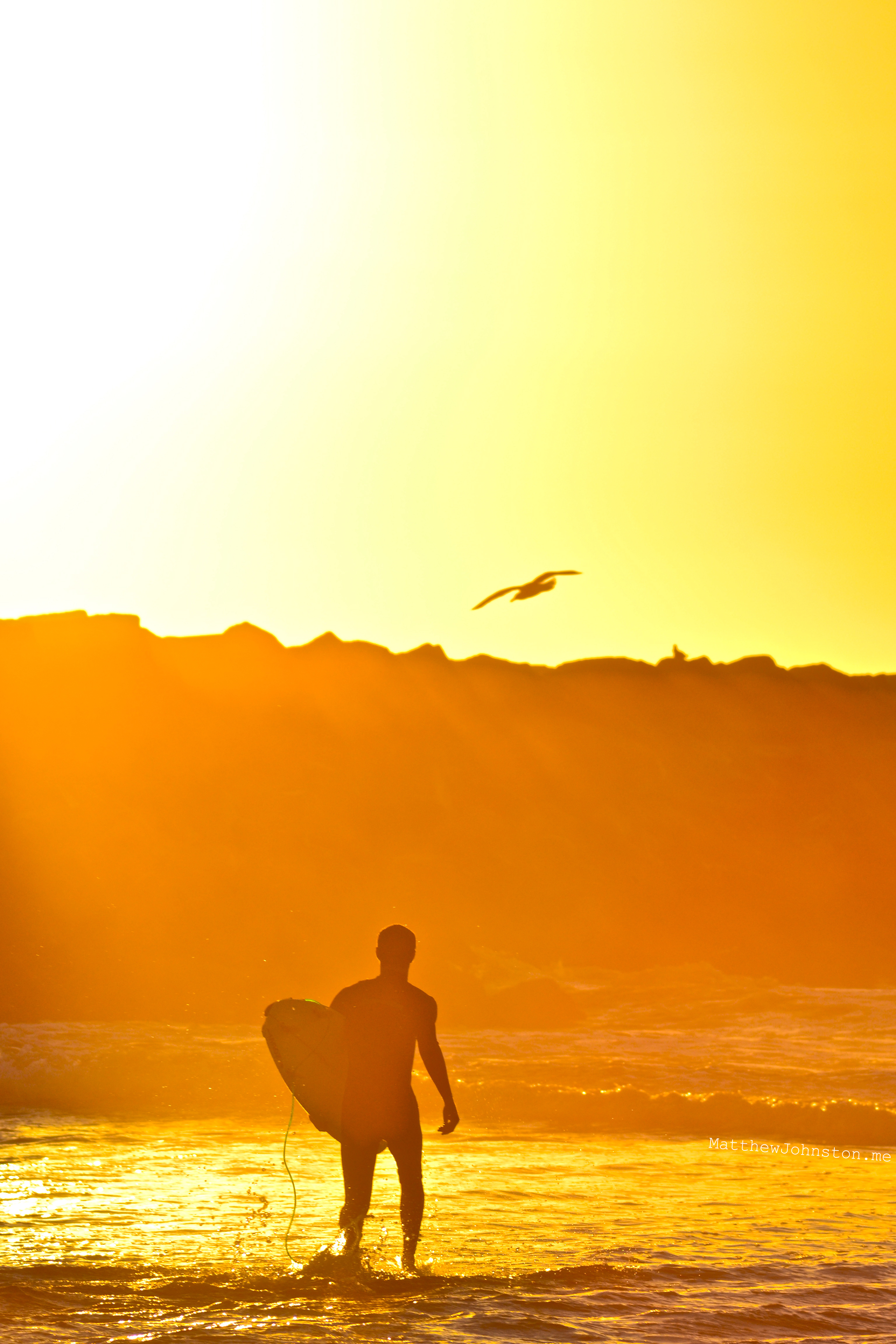 Sunset Surfer – Point Medanos, San Diego CA – Matthew Johnston