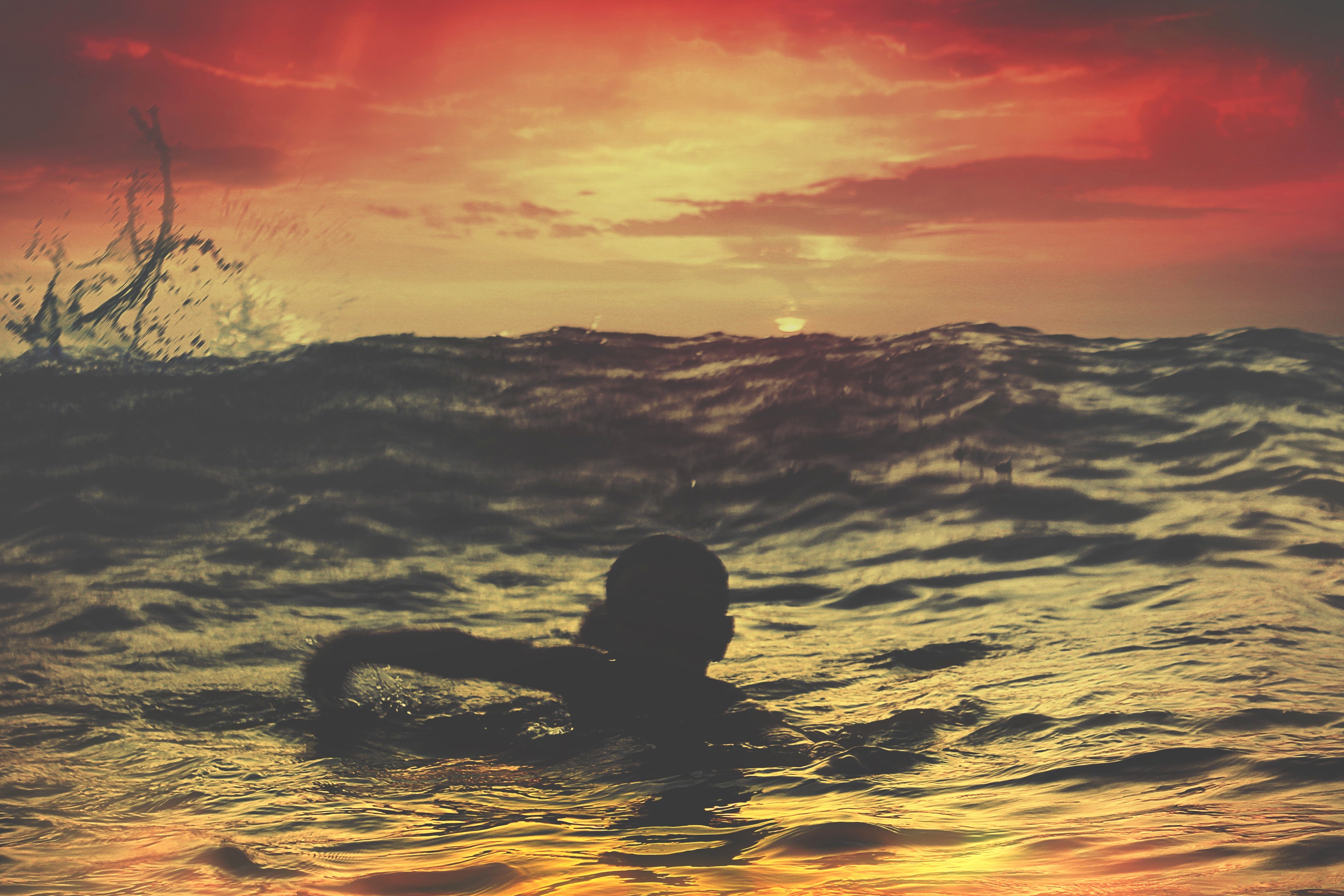 Free picture: boy, swimming, silhouette, sea, dusk, sunset, sun ...