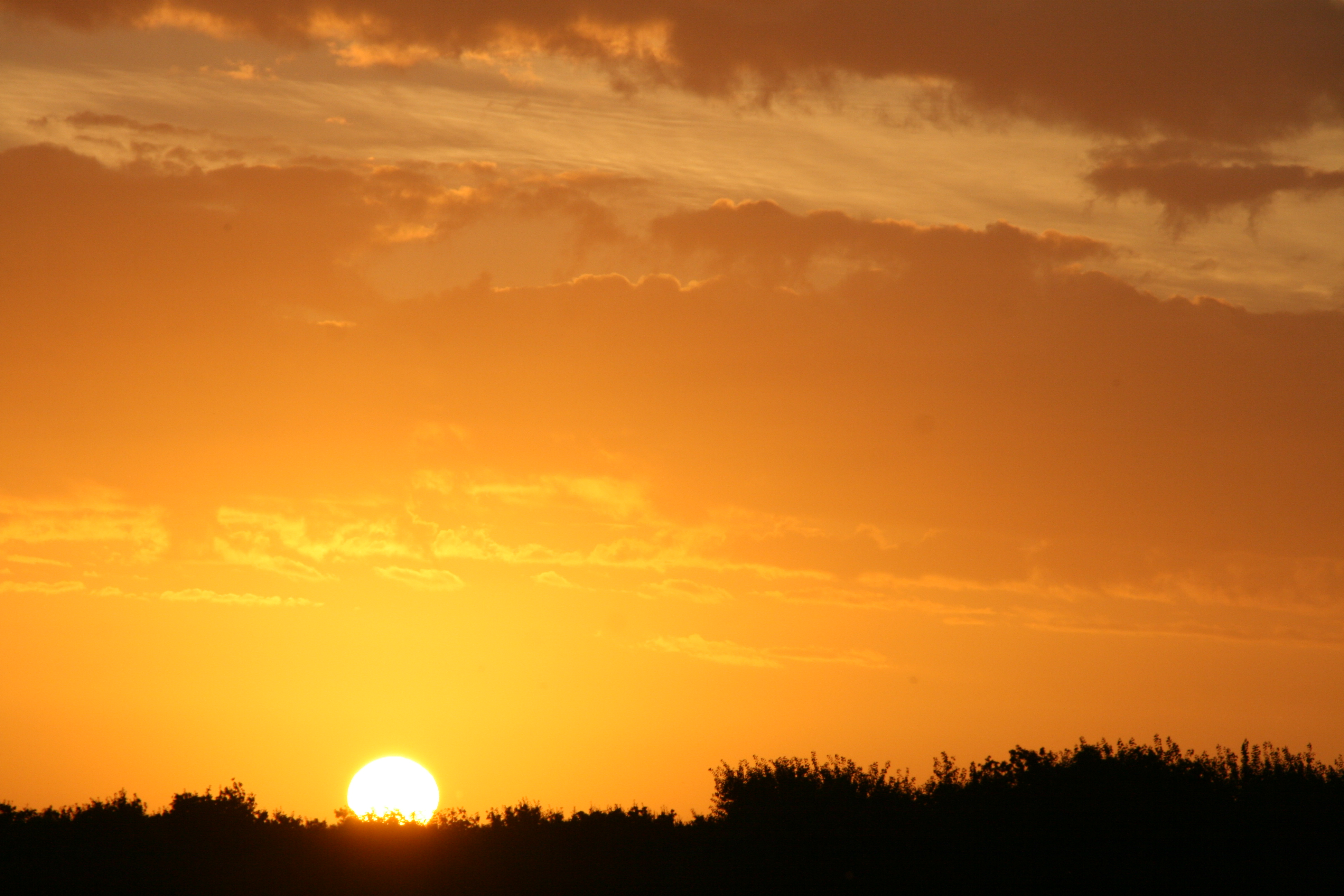 Gold sunset. Фон для шапки похоронного сайта золотой закат. Красный фон красивый закат текстура. Sunset texture.