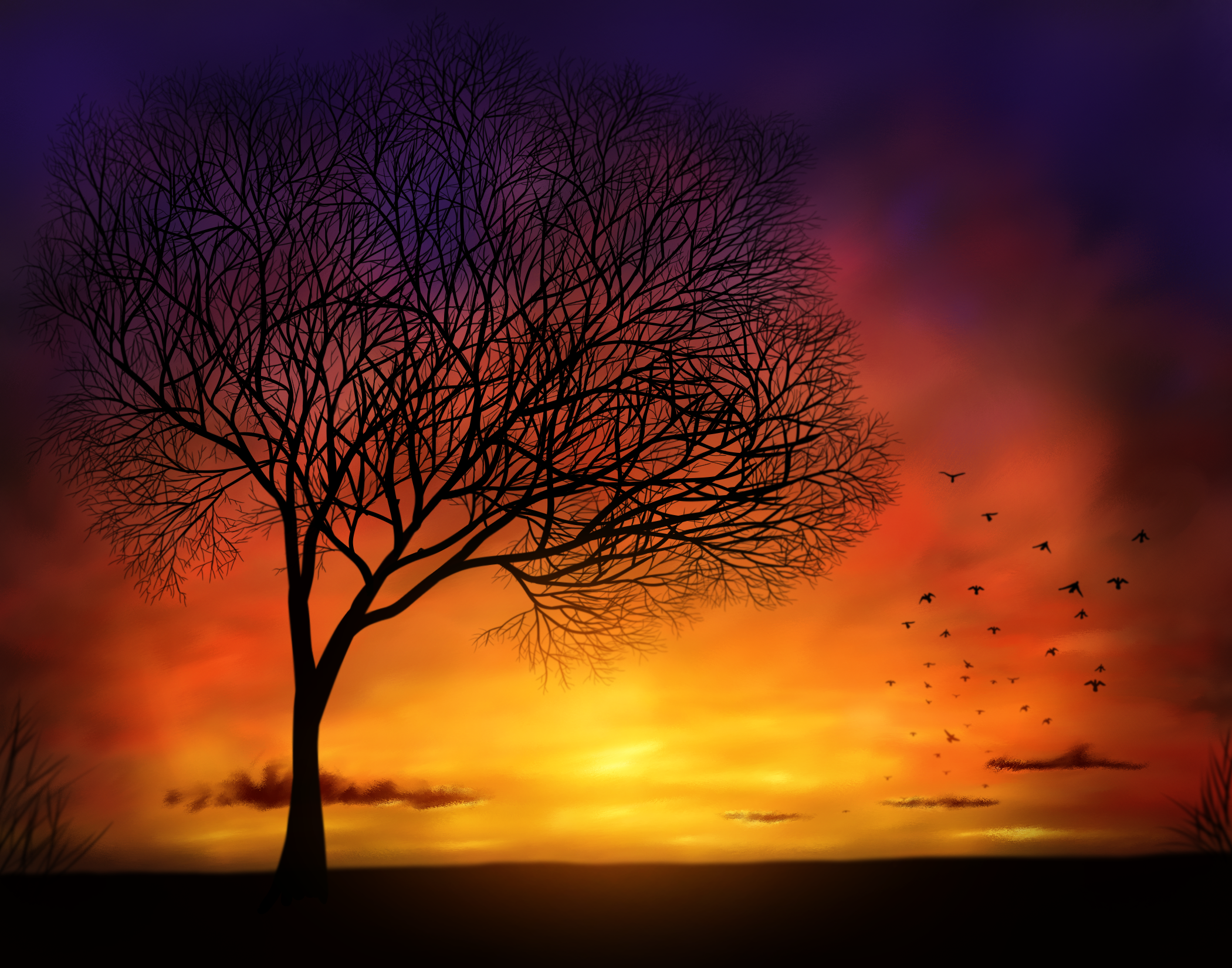 Sunset Sky And Dead Tree by AaronRutten on DeviantArt