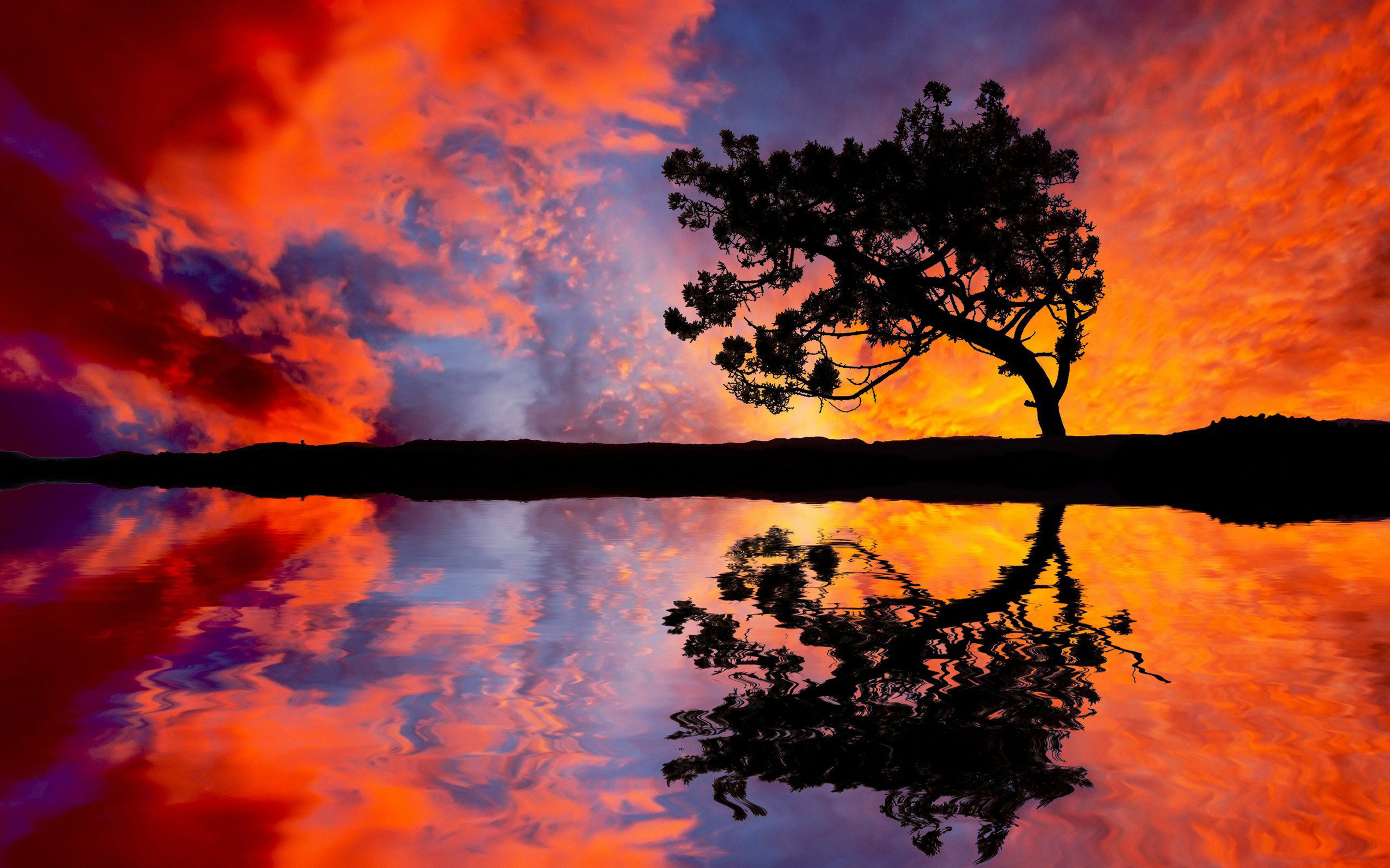 Sunset Tree Reflection Desktop Hd Wallpapers For Mobile Phones And ...