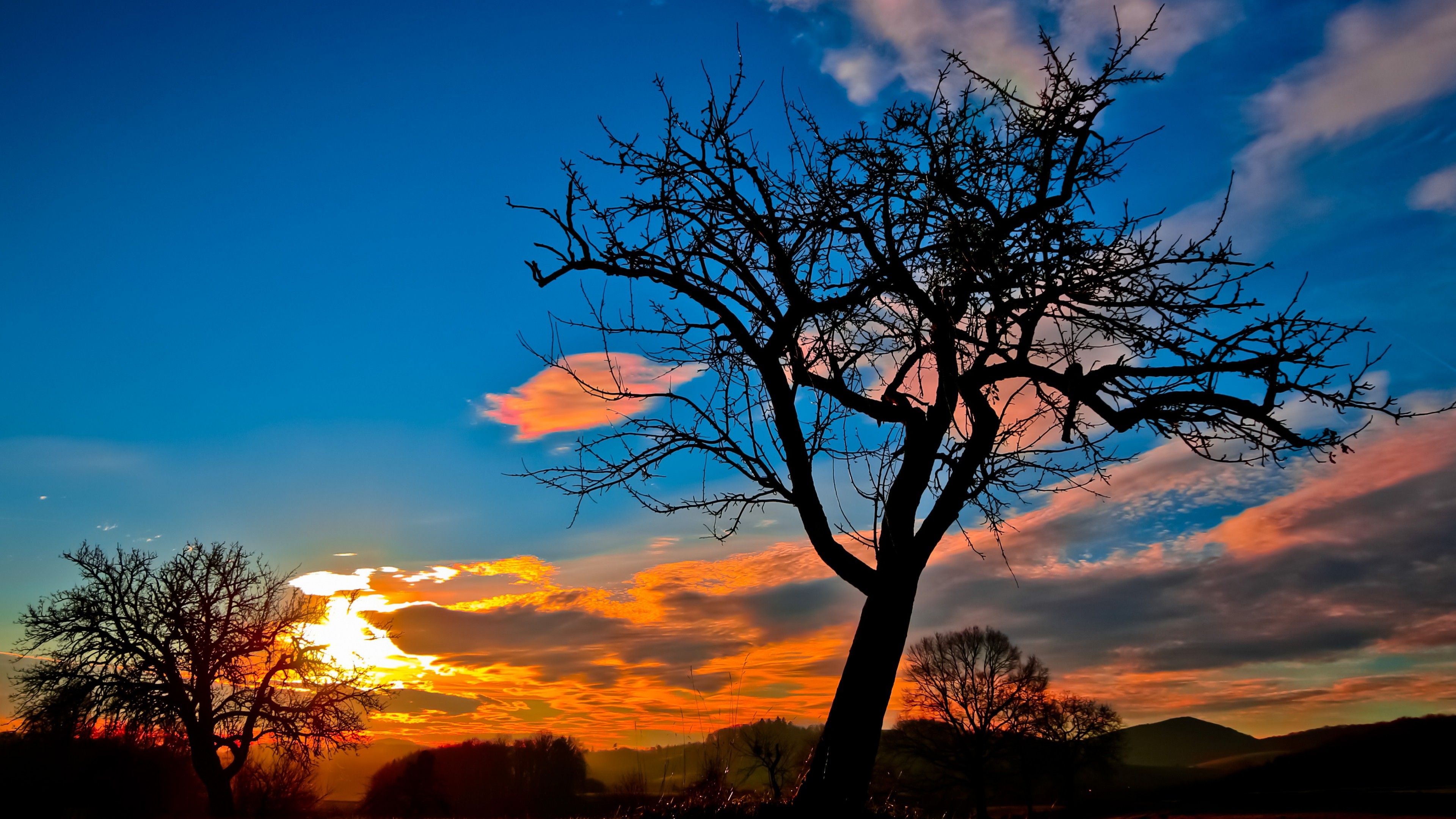 1366x768 Sunset Trees Sky 1366x768 Resolution HD 4k Wallpapers ...