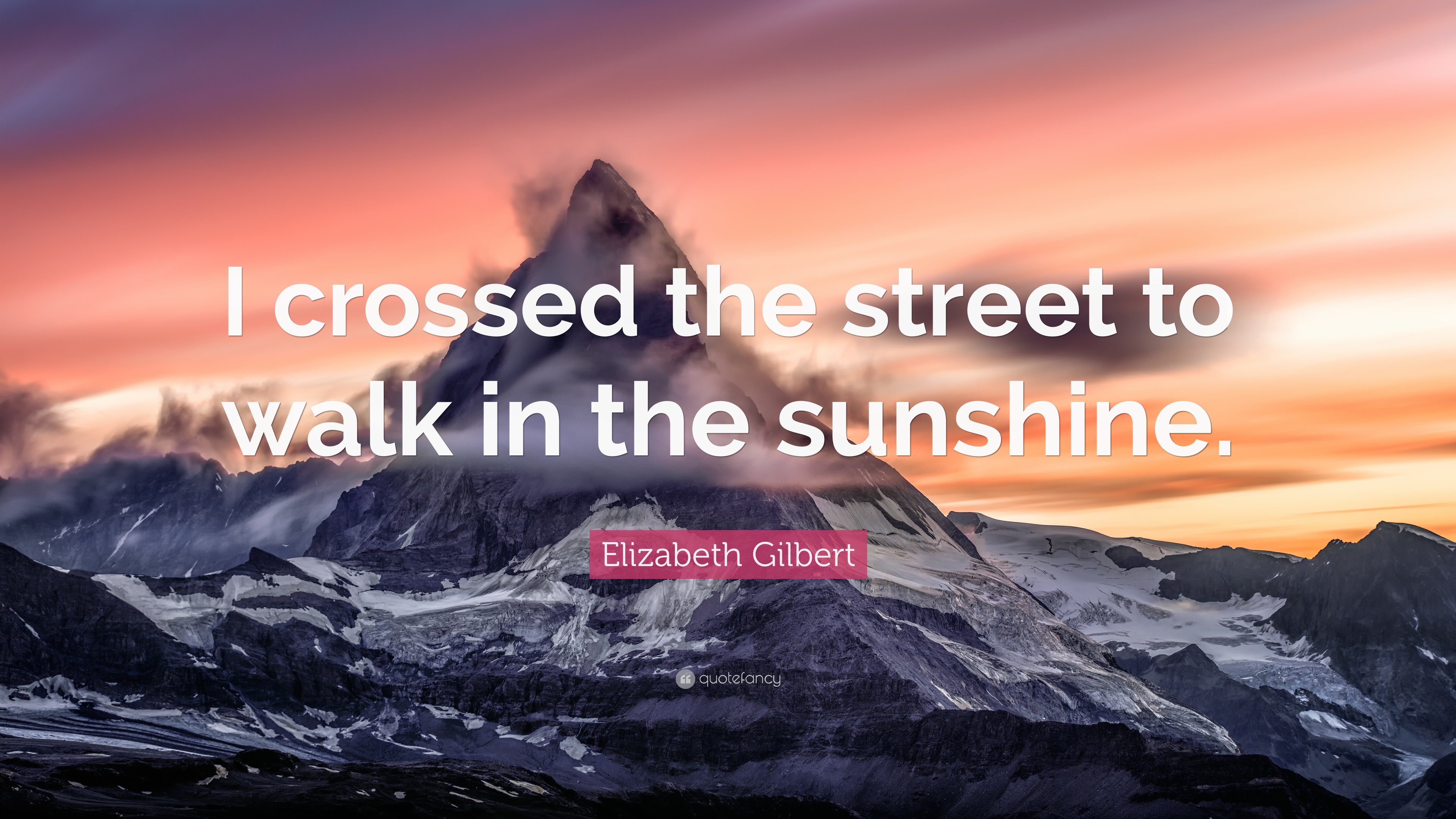 Elizabeth Gilbert Quote: “I crossed the street to walk in the ...