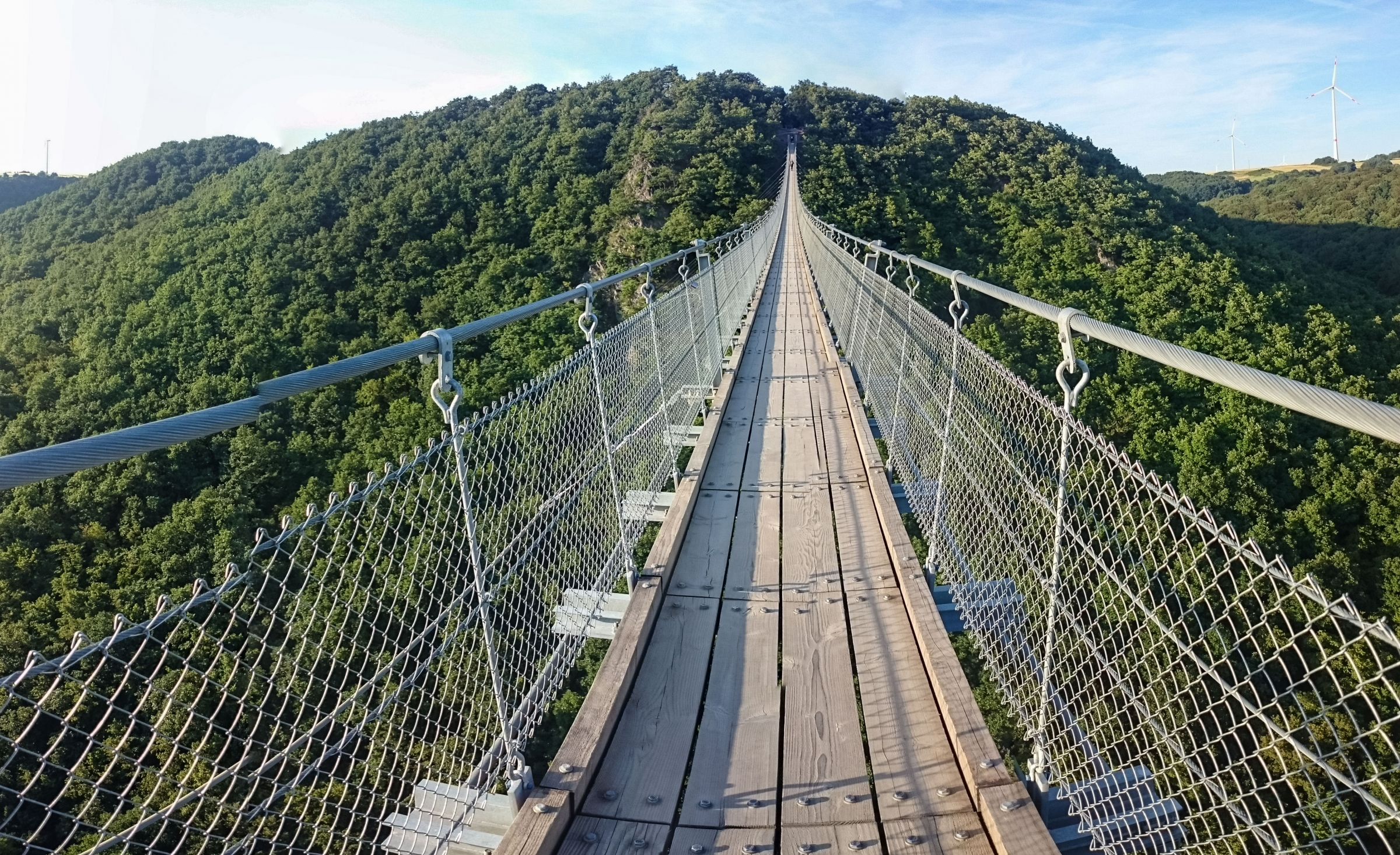 Geierlay - Suspension Bridge | Best Time To Visit | Top Tips Before ...