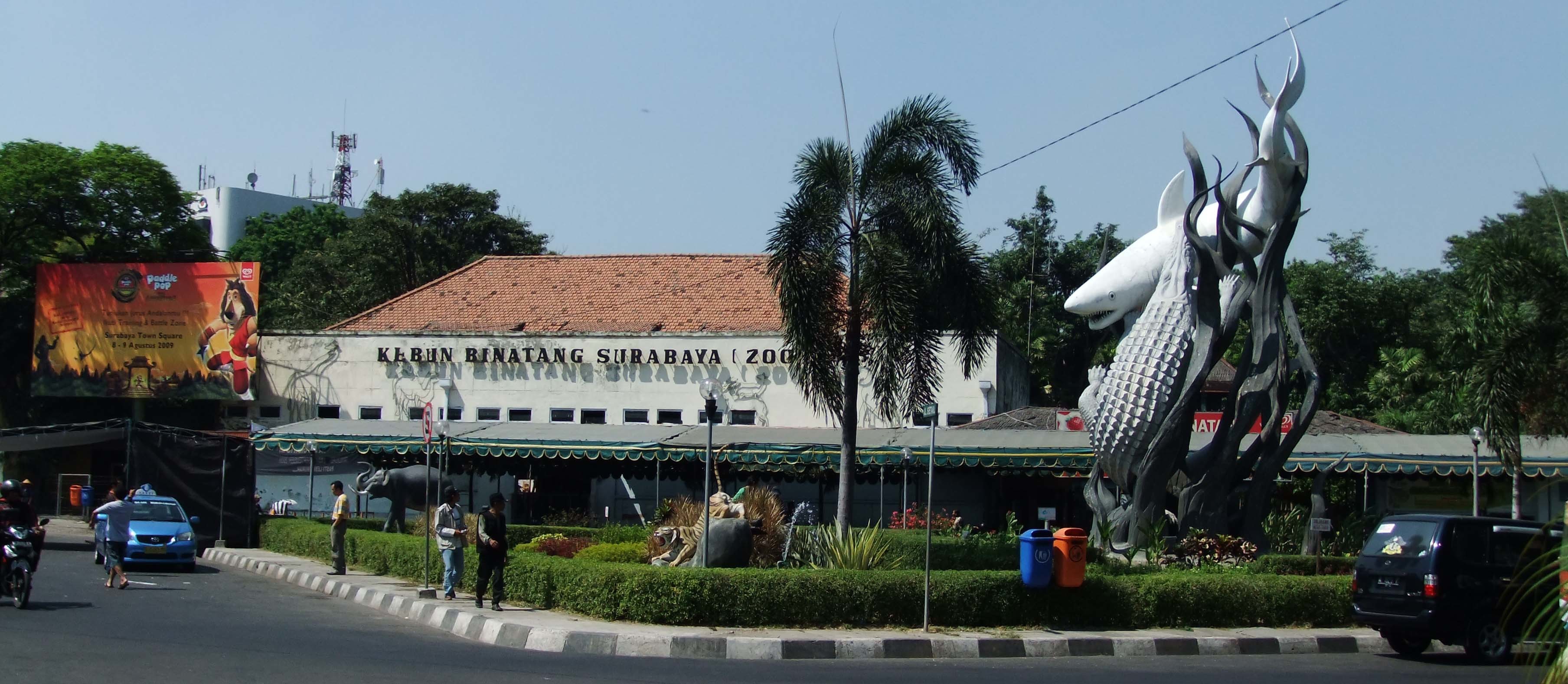Surabaya Zoo in Surabaya - Attraction in Surabaya, Indonesia - Justgola