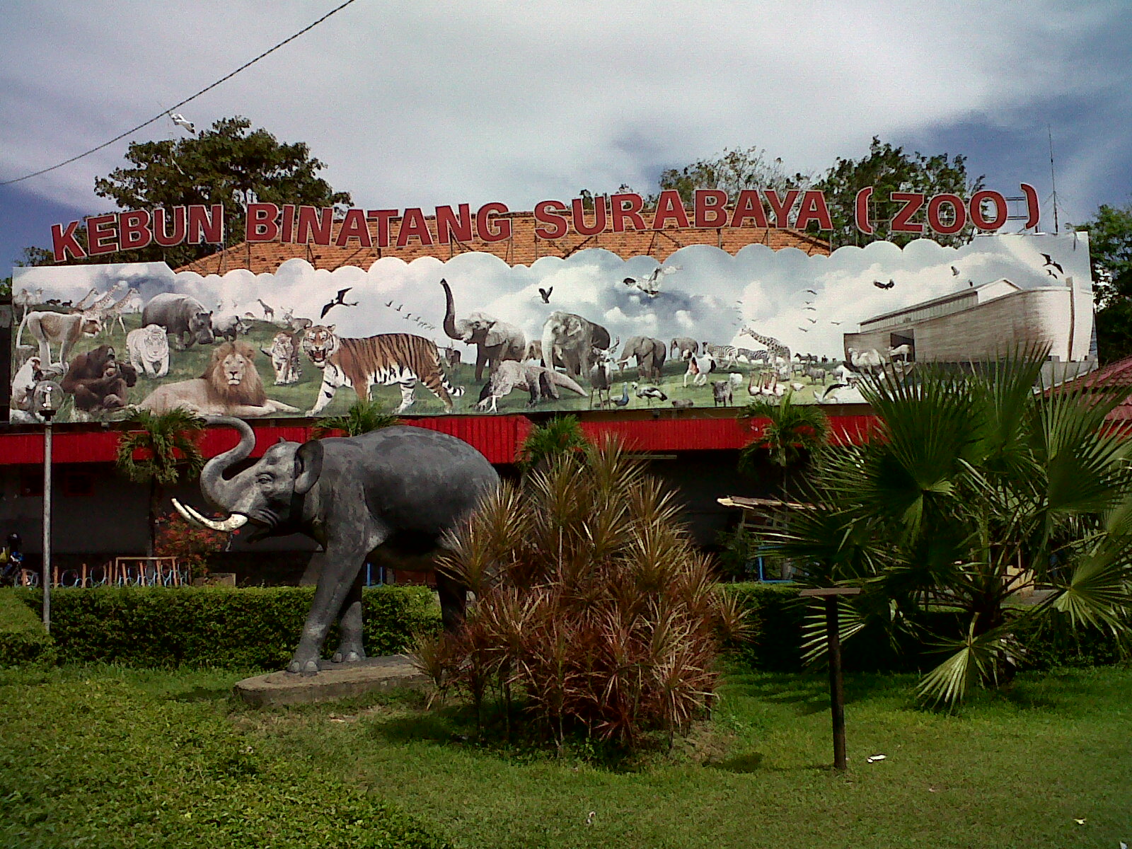 Surabaya Zoo | My Destination
