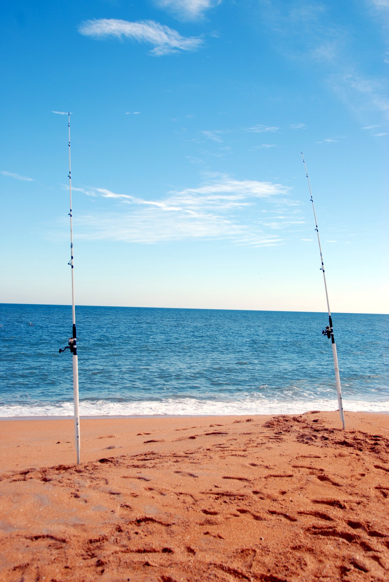 Surf Fishing Pole Free Stock Photo - Public Domain Pictures
