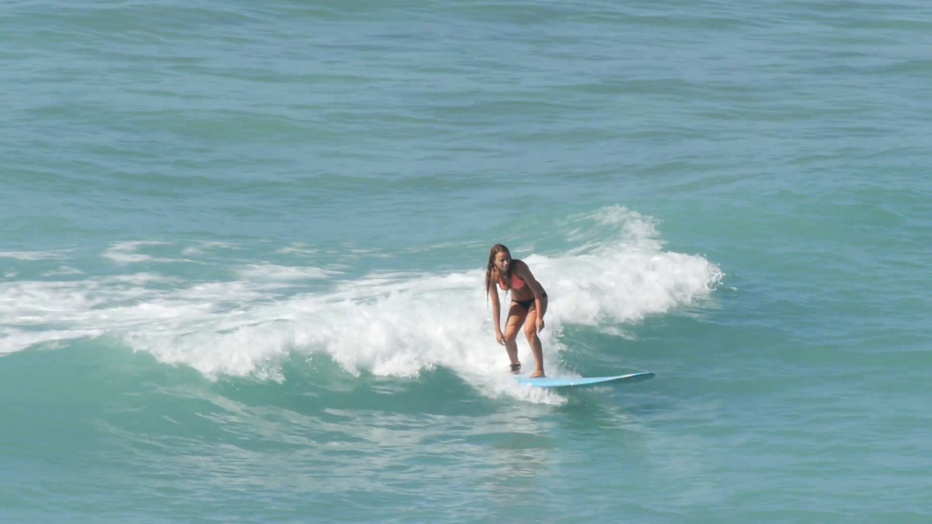 Surfer surfing in Waikiki beach Hawaii Stock Video Footage - Videoblocks