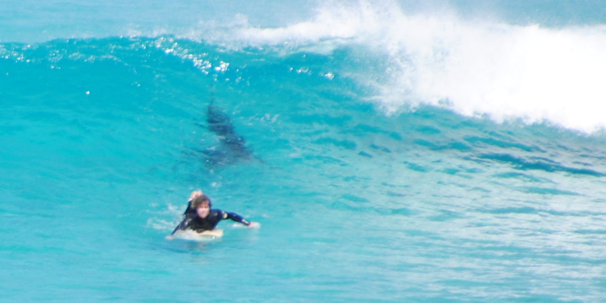 Surfer's Close Encounter With Shark Captured In Series Of Jaw ...