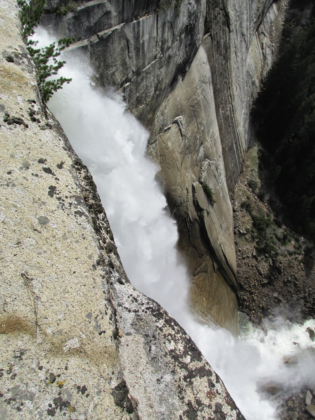 Climb and Punishment: A Week in Yosemite National Park