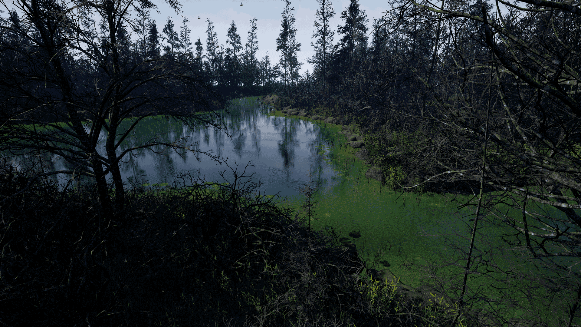 Swamp by Dave Berg in Environments - UE4 Marketplace