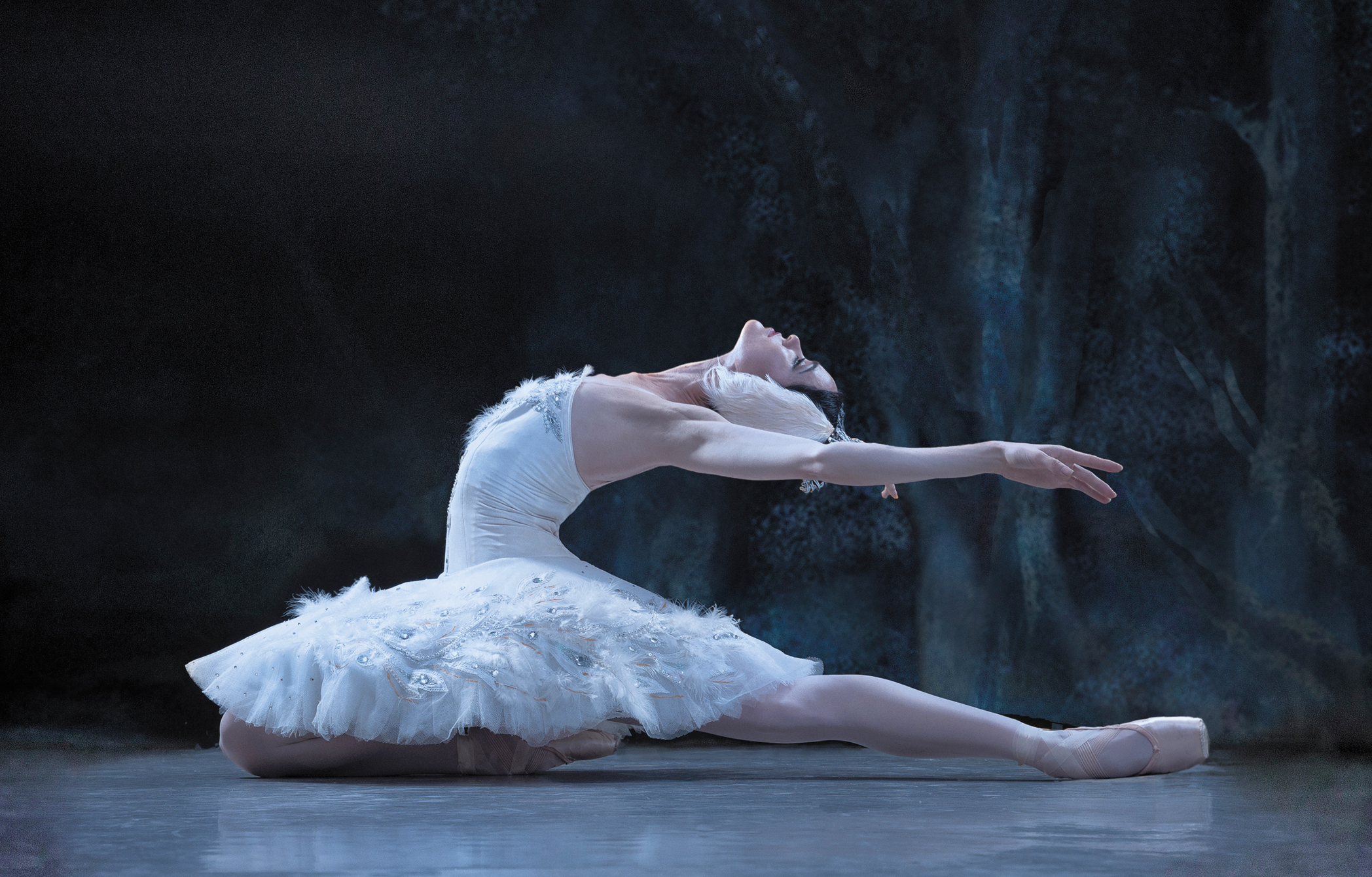 Los Angeles Ballet Presents Swan Lake