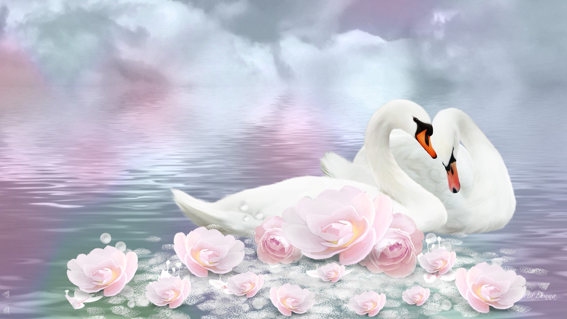 Swan Wallpapers and Background Images - stmed.net