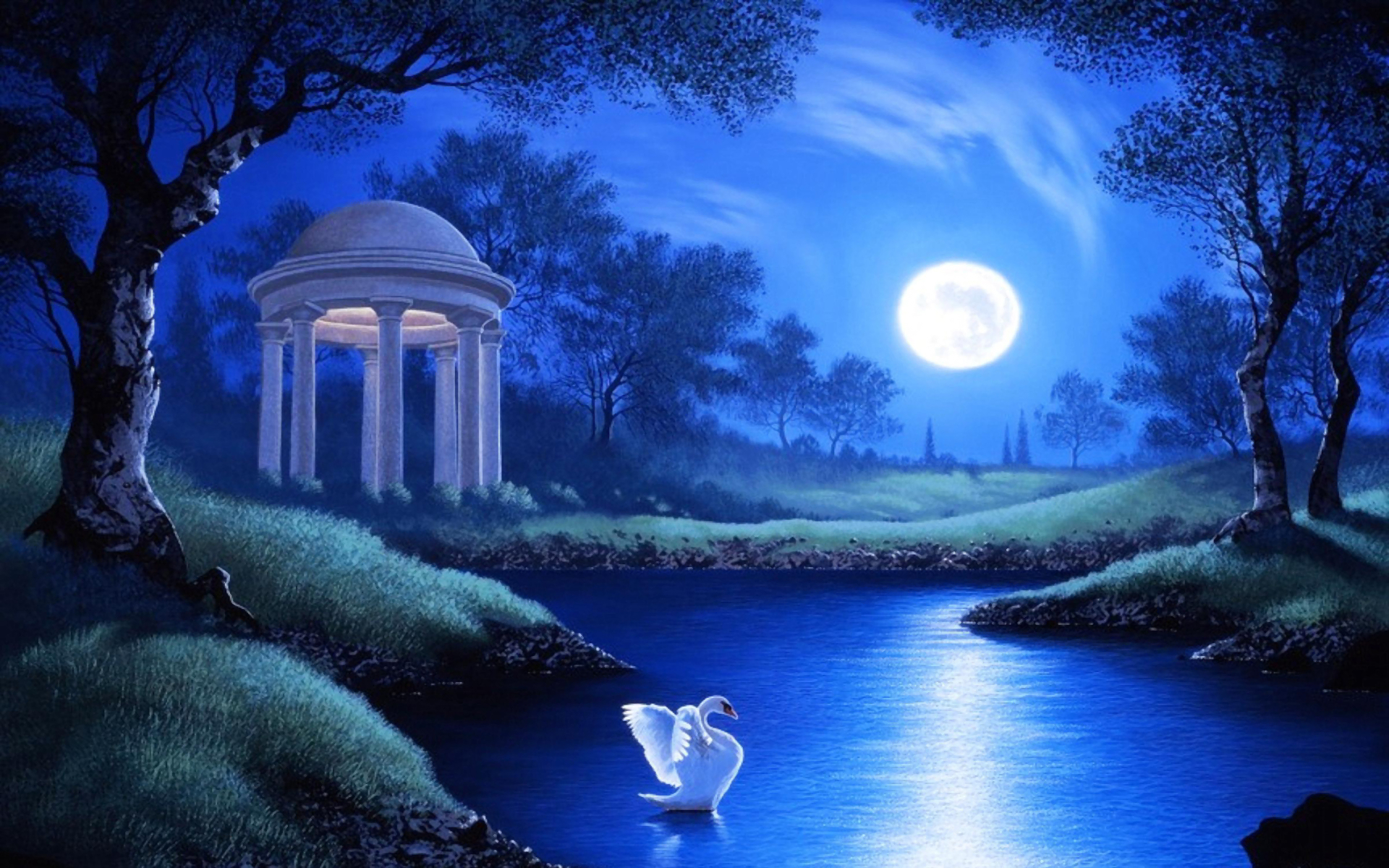 Swan in Garden Lake on Full Moon Night Full HD Wallpaper and ...