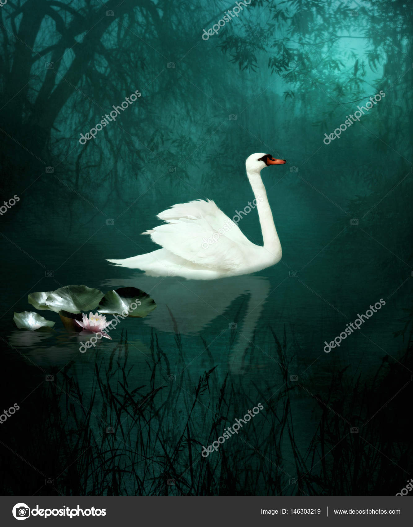White swan at night — Stock Photo © Margo1956 #146303219
