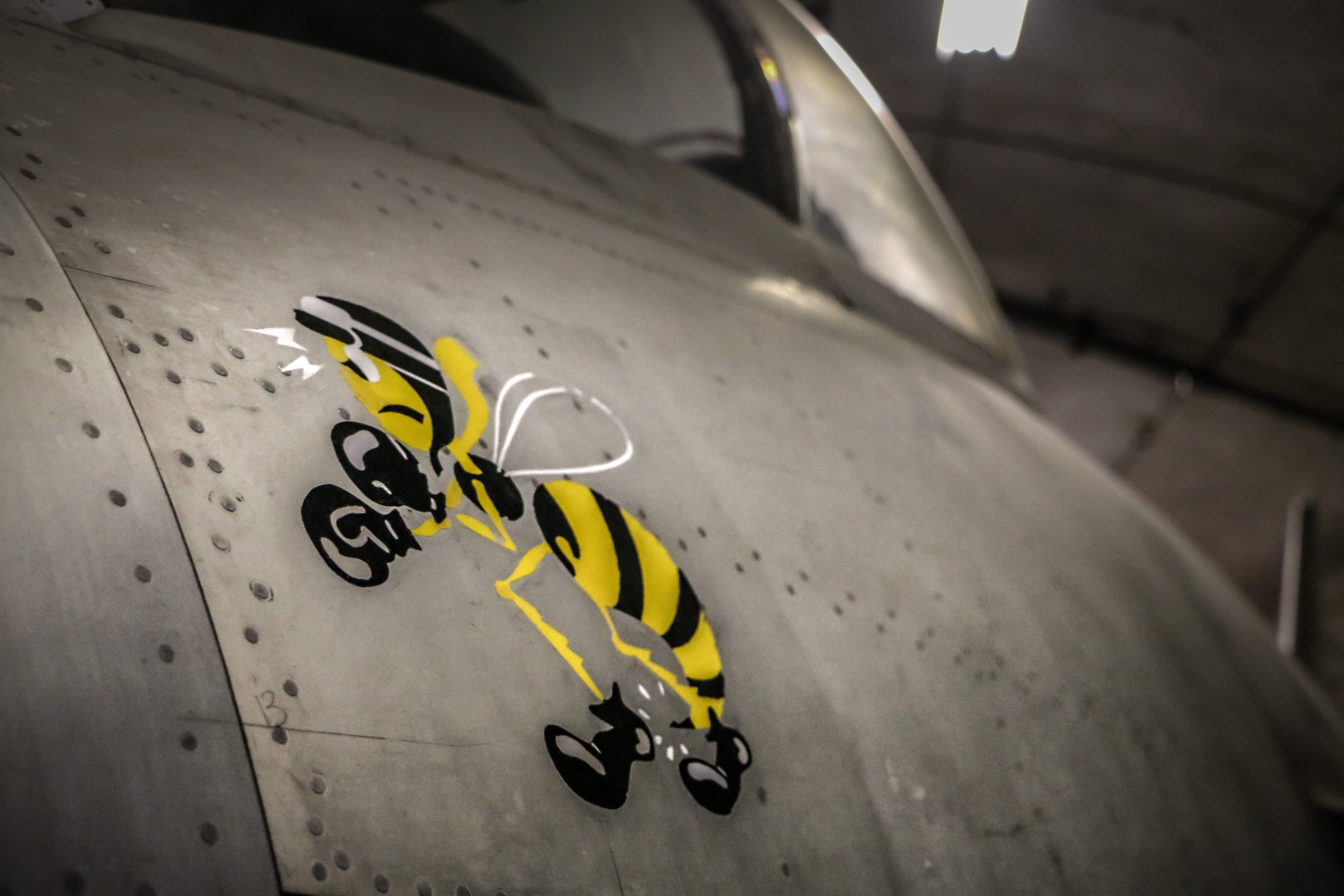 Swedish jet fighter art photo
