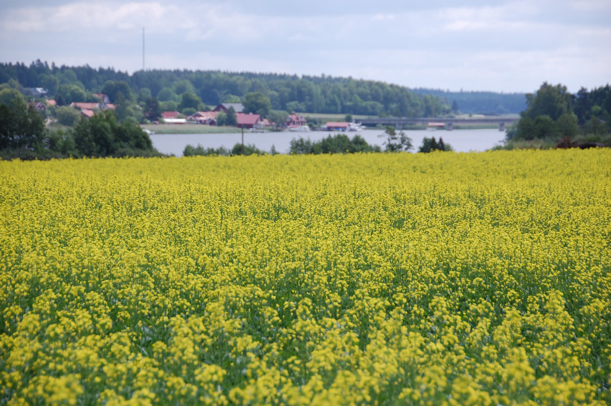 The Swedish countryside: perfect in all seasons – Student blogs from ...
