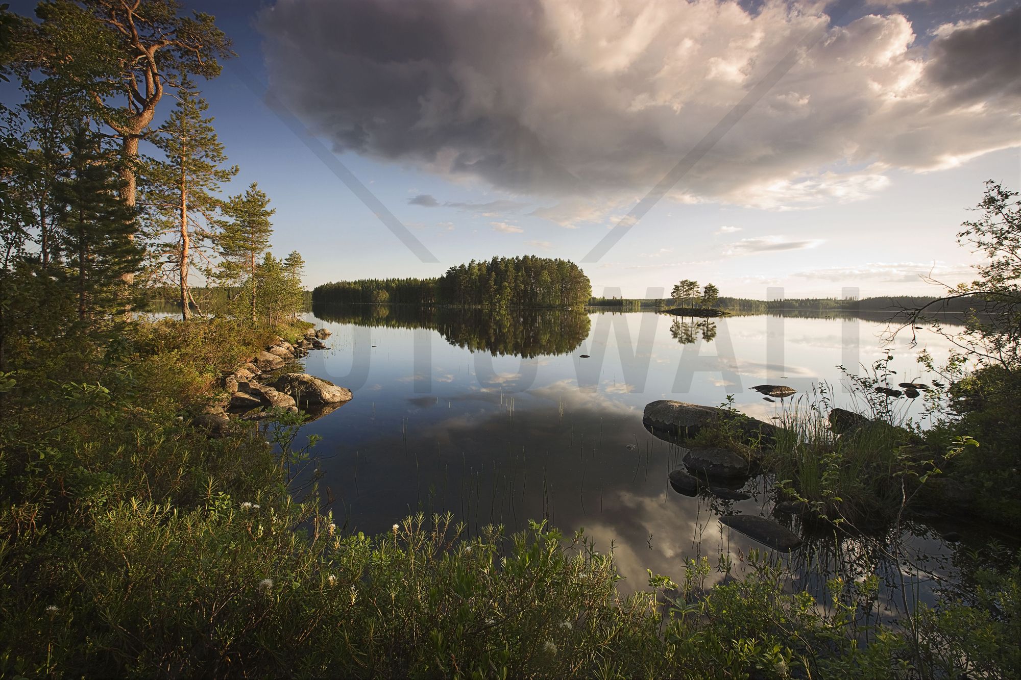 Swedish Summer Landscape - Fototapeter & Tapeter - Photowall ...