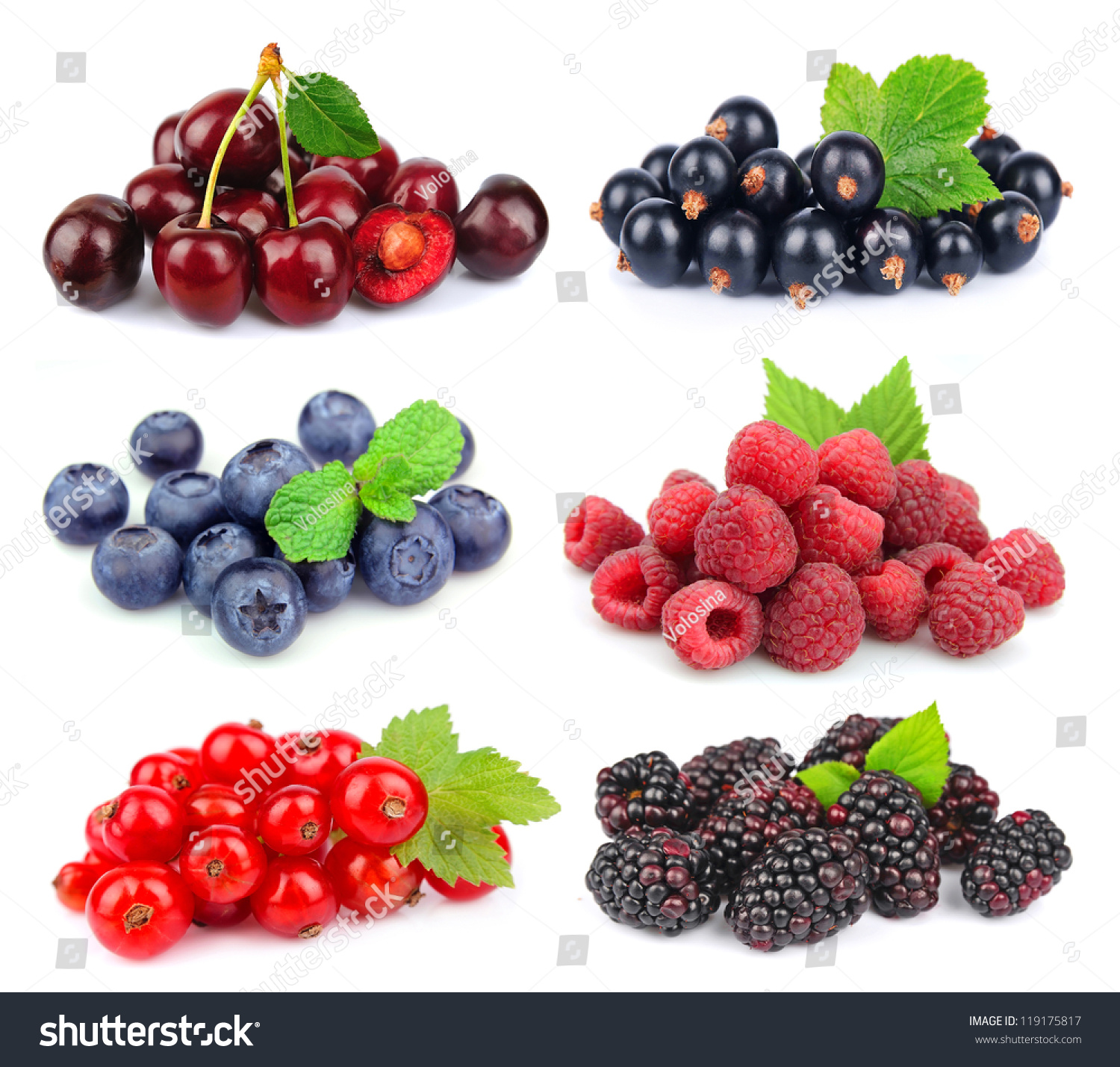 Sweet Berries Blackberryblueberryred Currantraspberryblack ...