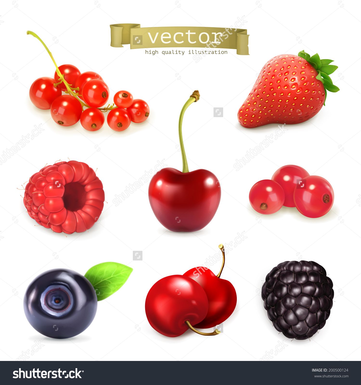 Sweet Berries, Vector Illustration Set Of High Quality - 200500124 ...