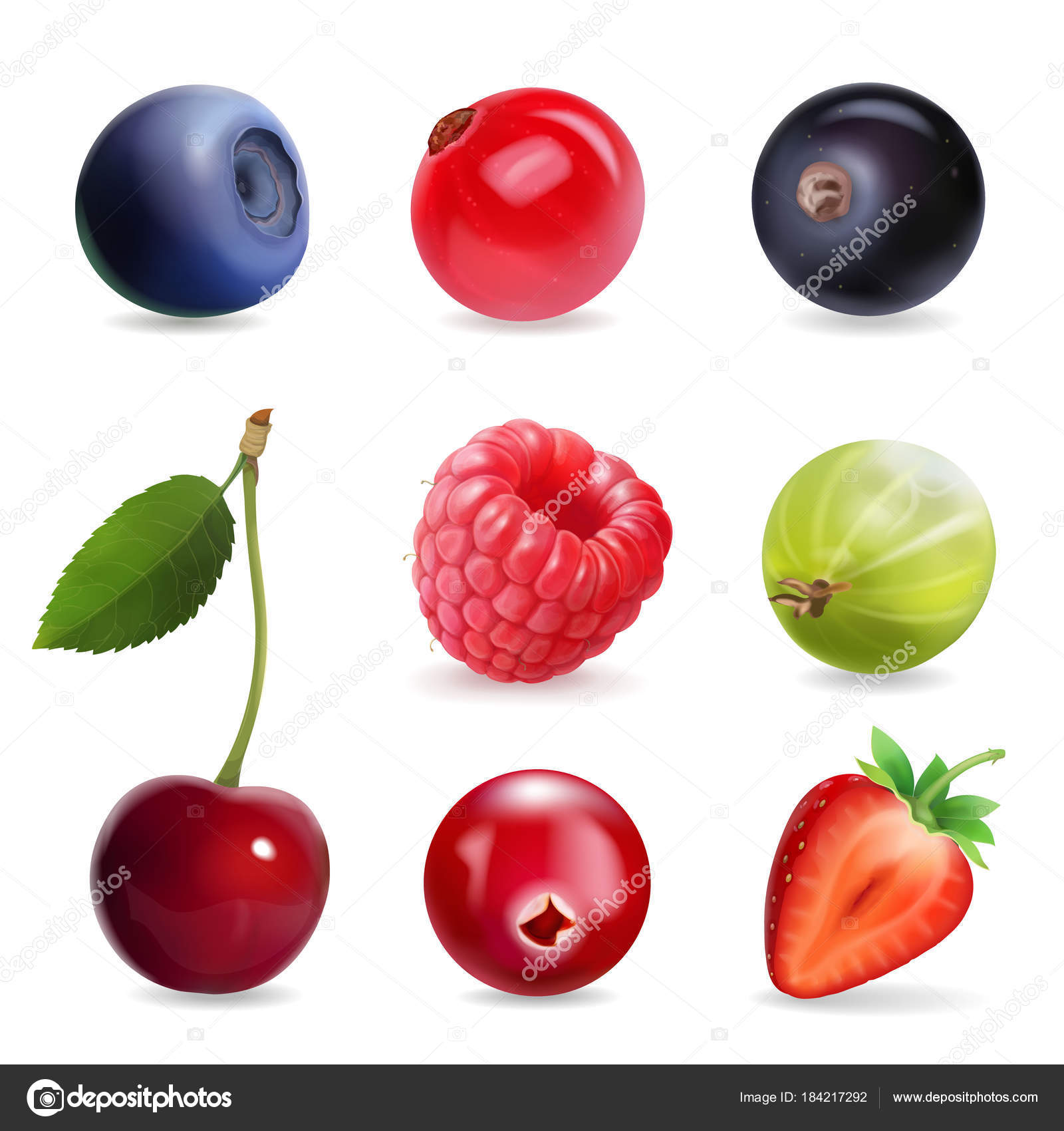 Sweet berries, vector illustration realistic set — Stock Vector ...