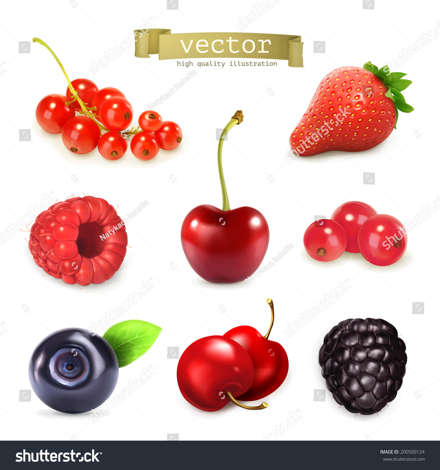 Sweet Berries Vector Illustration Set High Stock Vector 200500124 ...