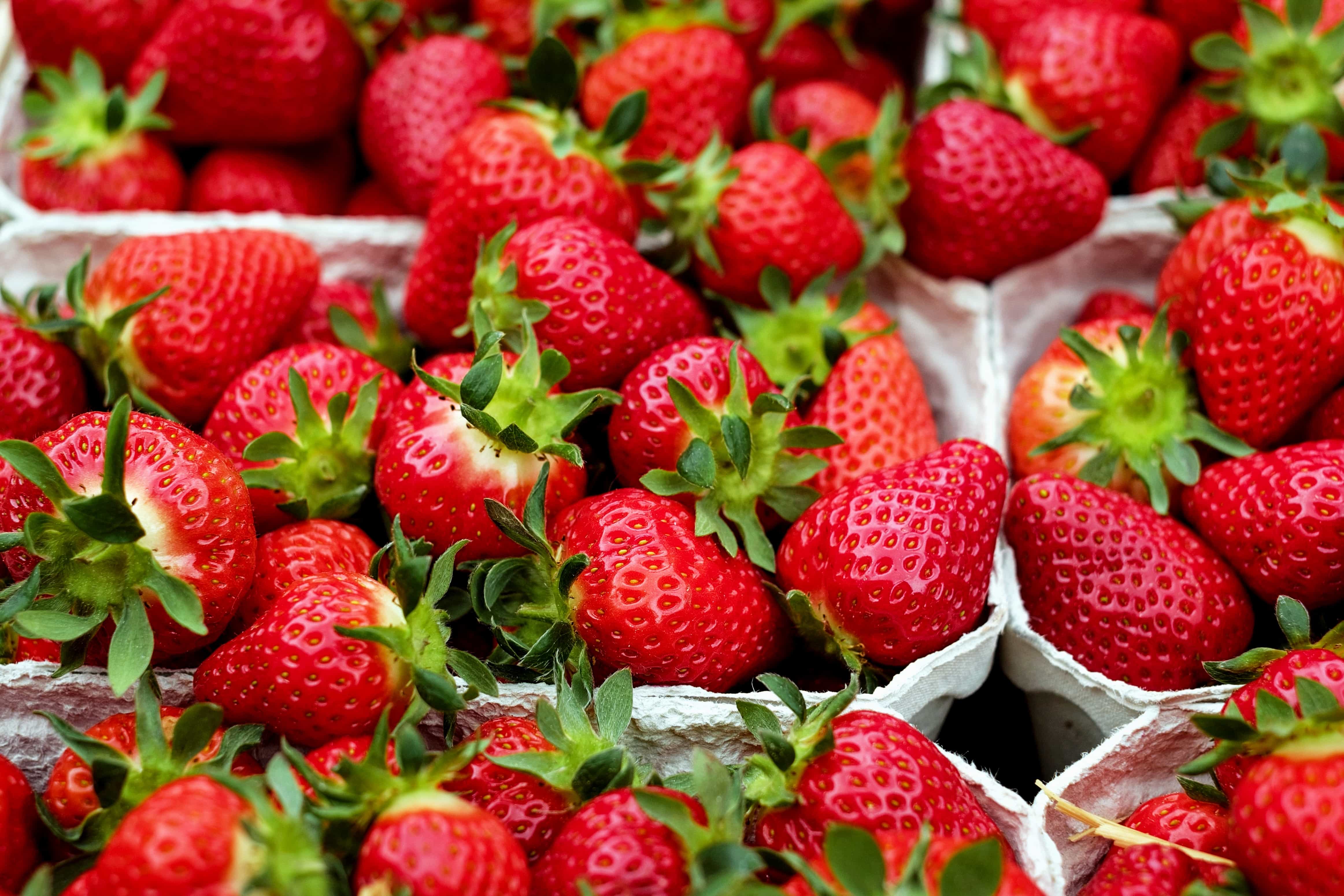 Free picture: berry, strawberry, sweet, market, delicious, fruit, food