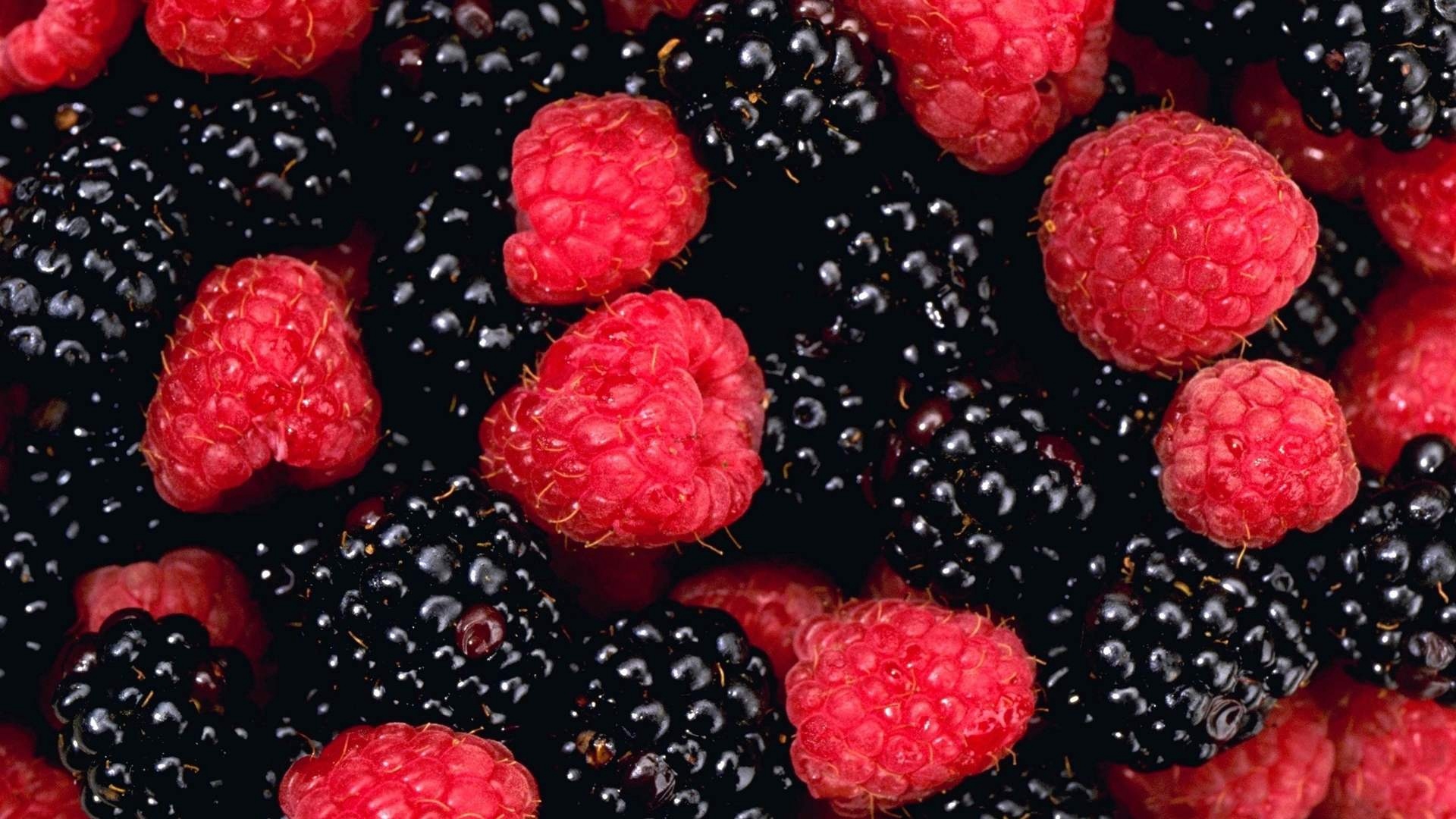 Download wallpaper 1920x1080 raspberries, blackberries, berries ...