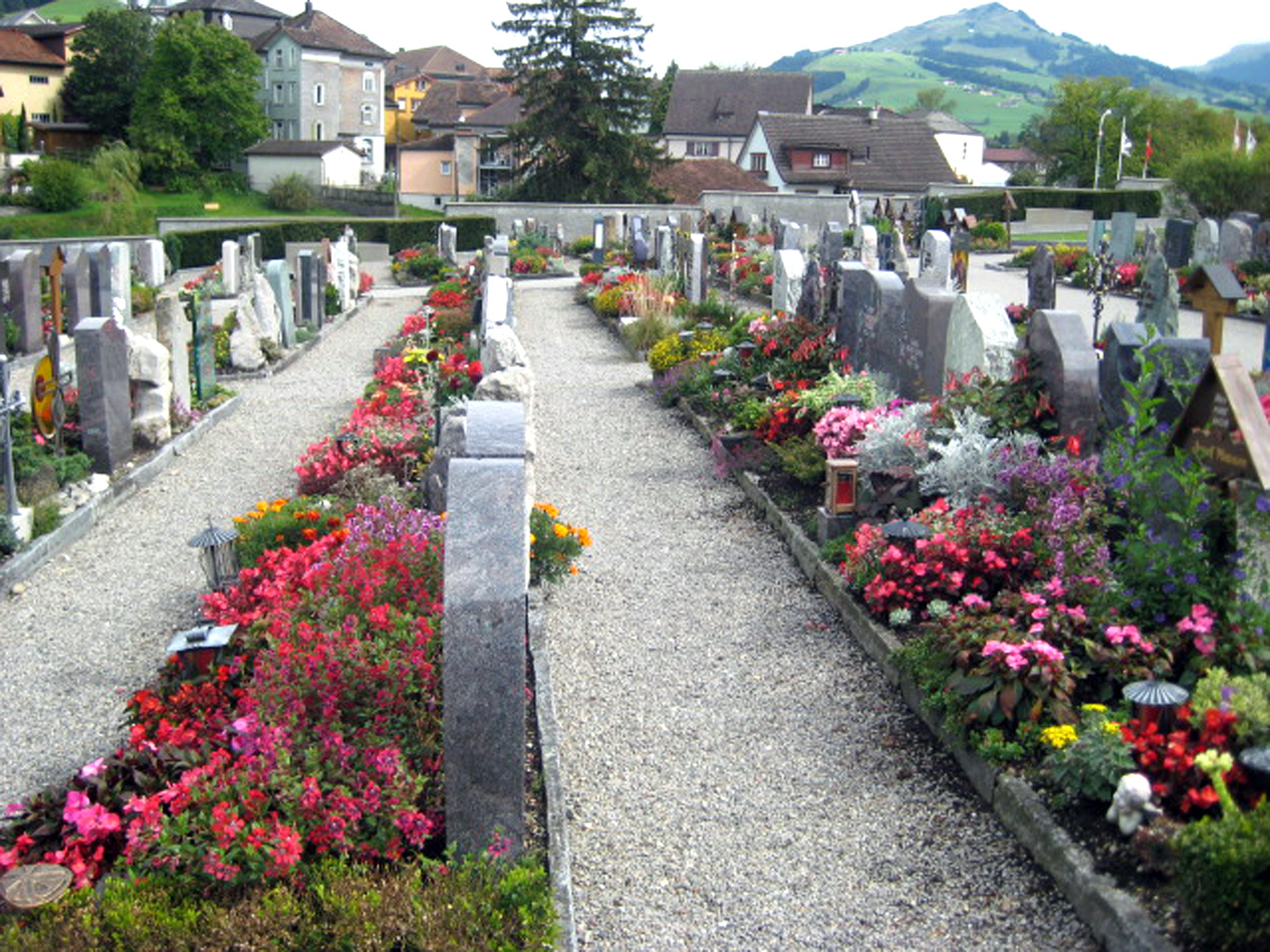 Цветы из дома на кладбище. Кладбище Флунтерн Цюрих. Кладбище в Швейцарии. Кладбище в Швейцарии современные. Цветы на кладбище.