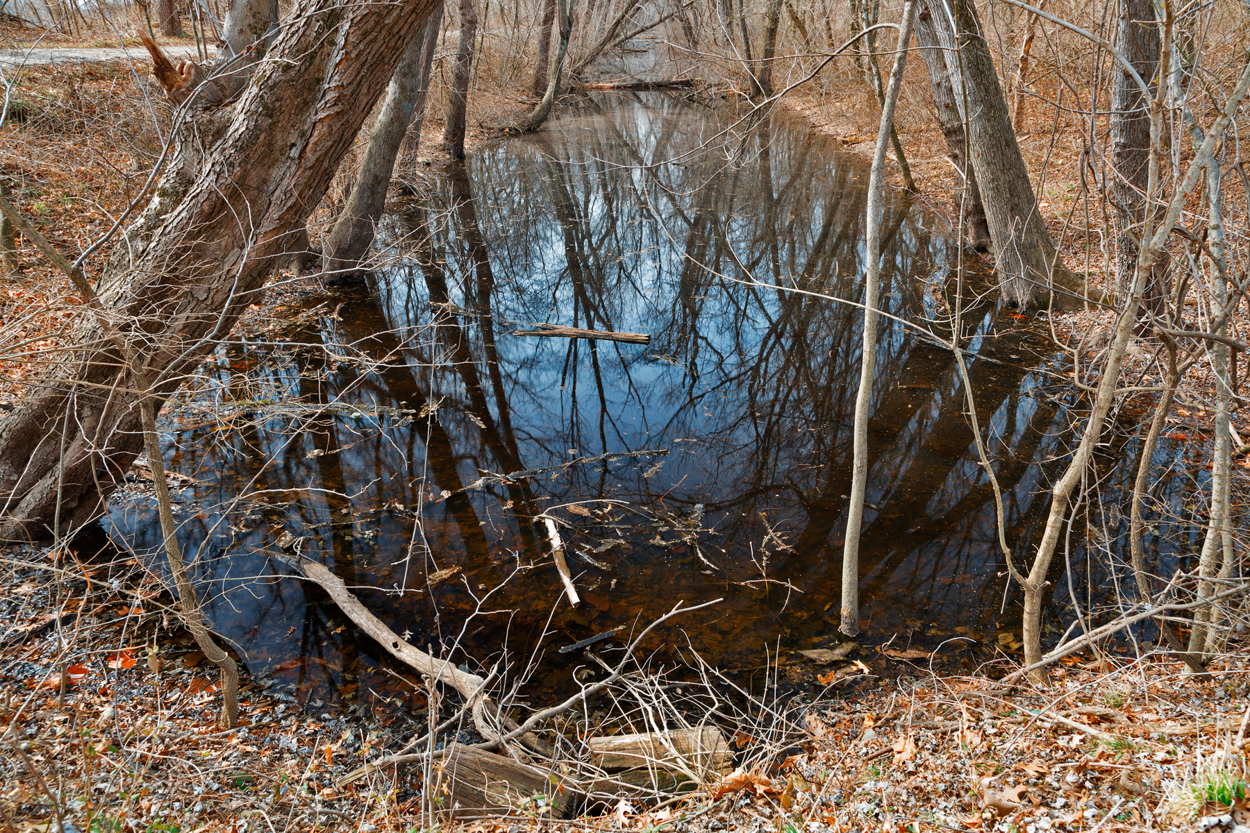 Sycamore landing creek photo